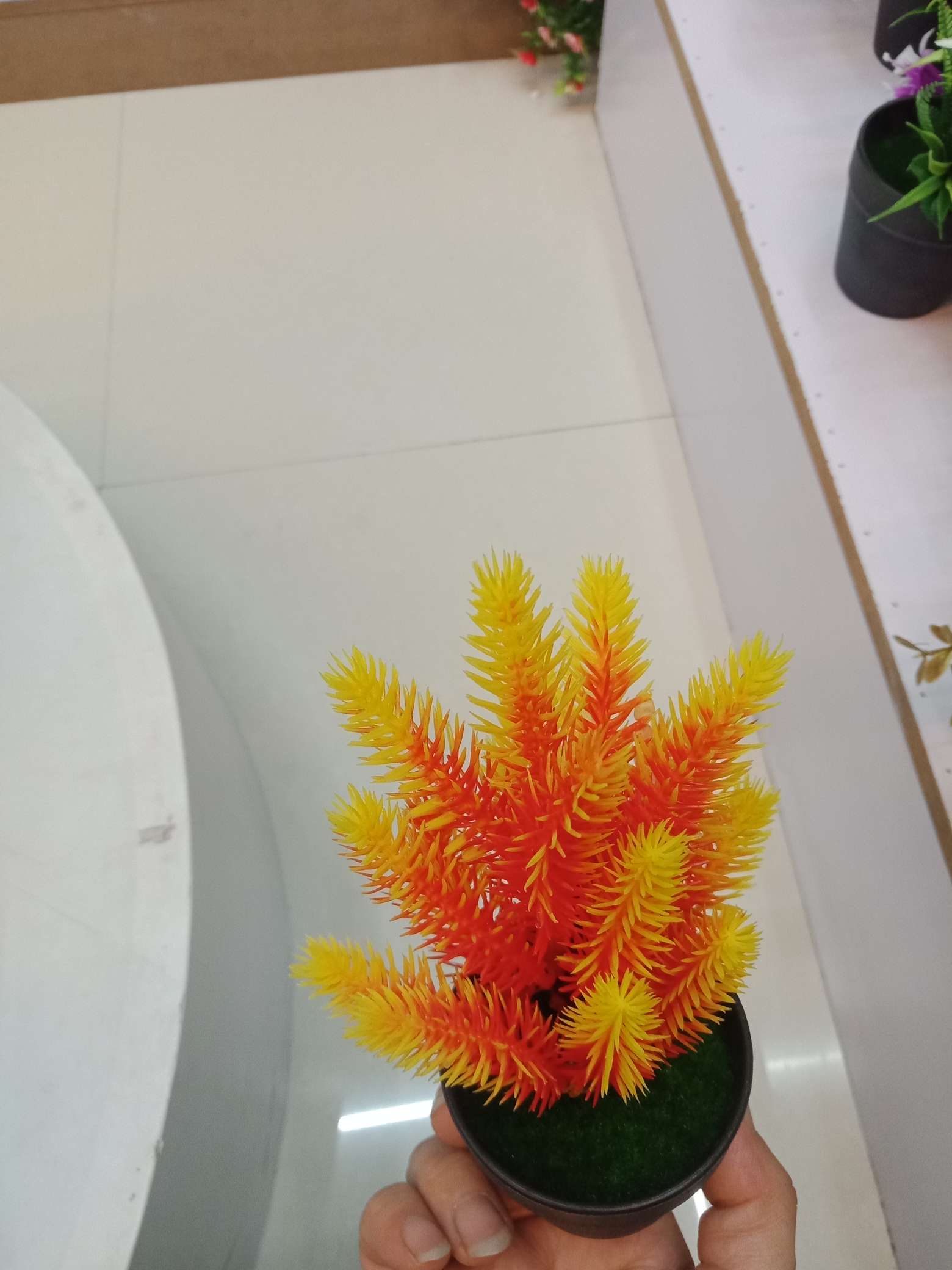 办公桌摆件细节图