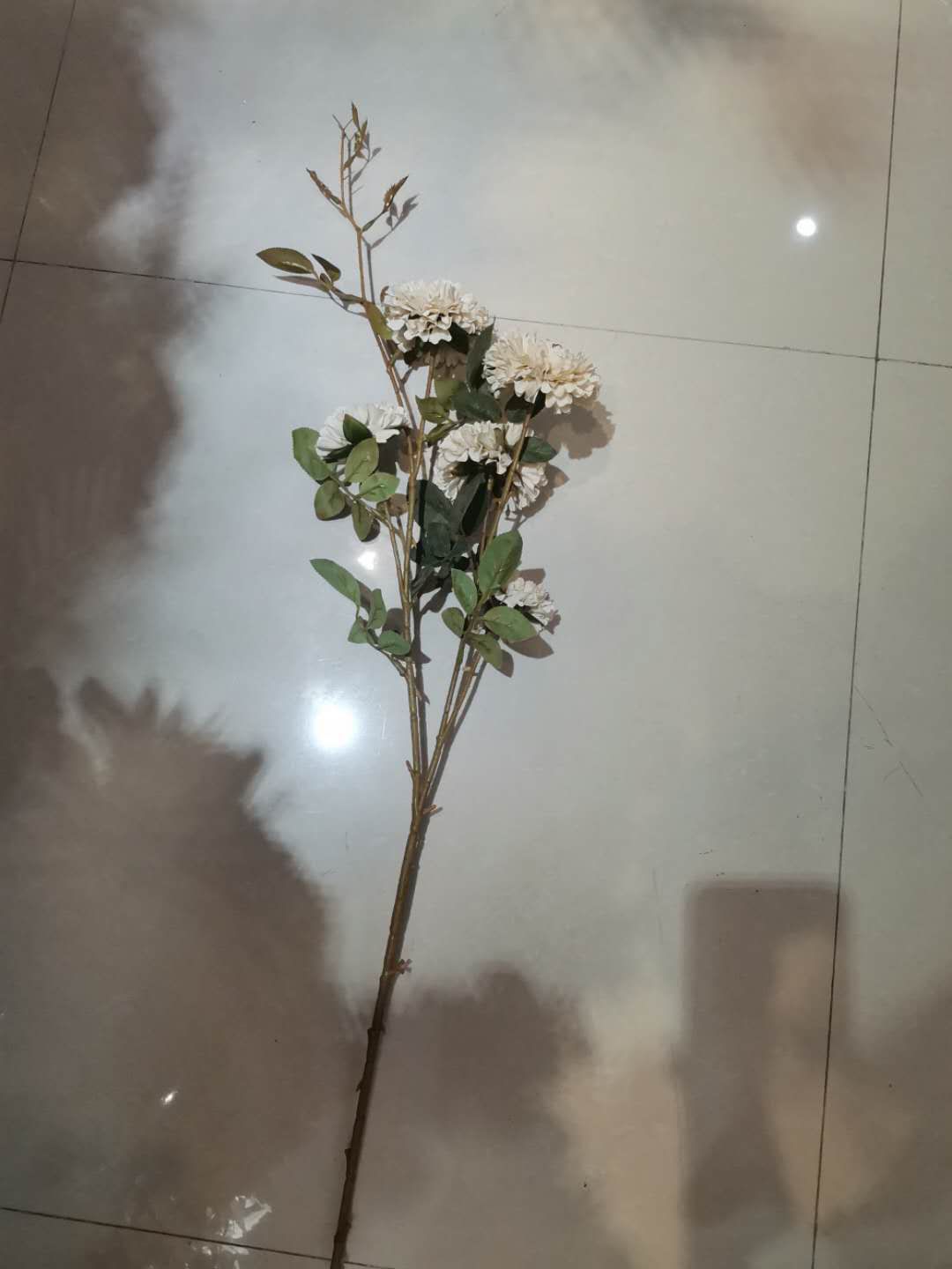 خمسة أزهار الكرز