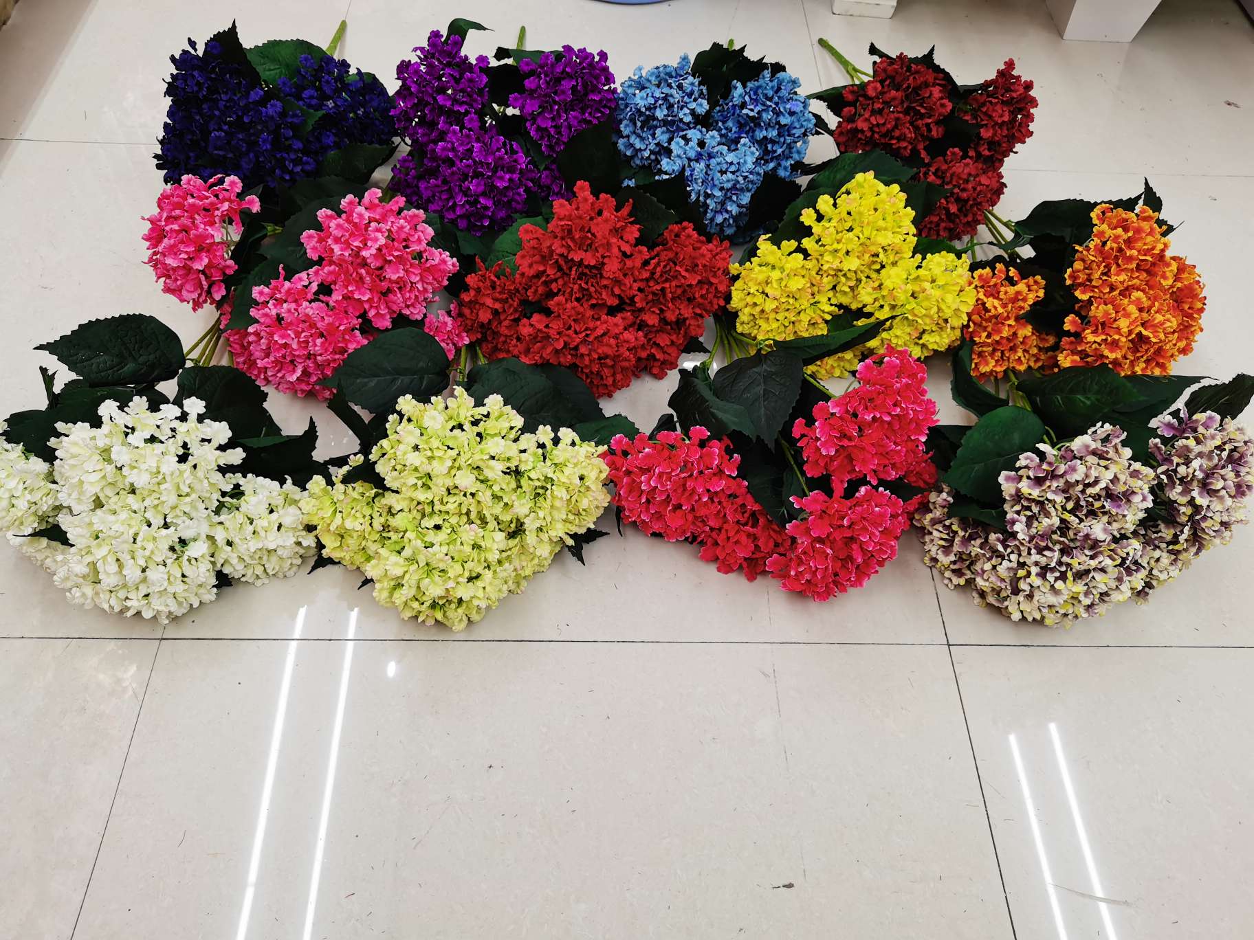 Five-pronged glittering hydrangea