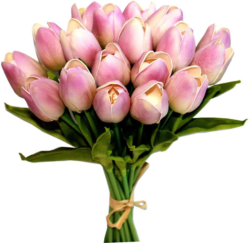 A single pu tulip details Picture