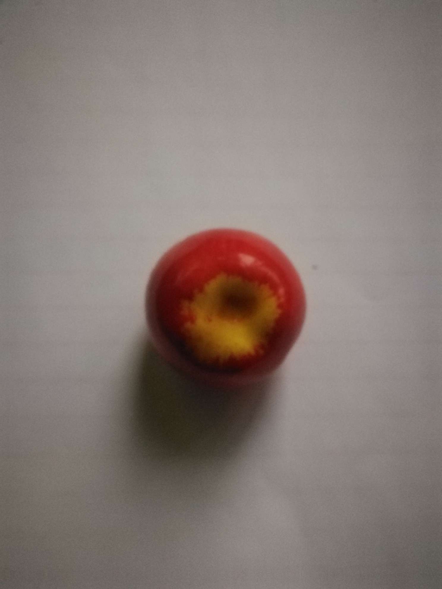 90 series, simulated fruit begonia