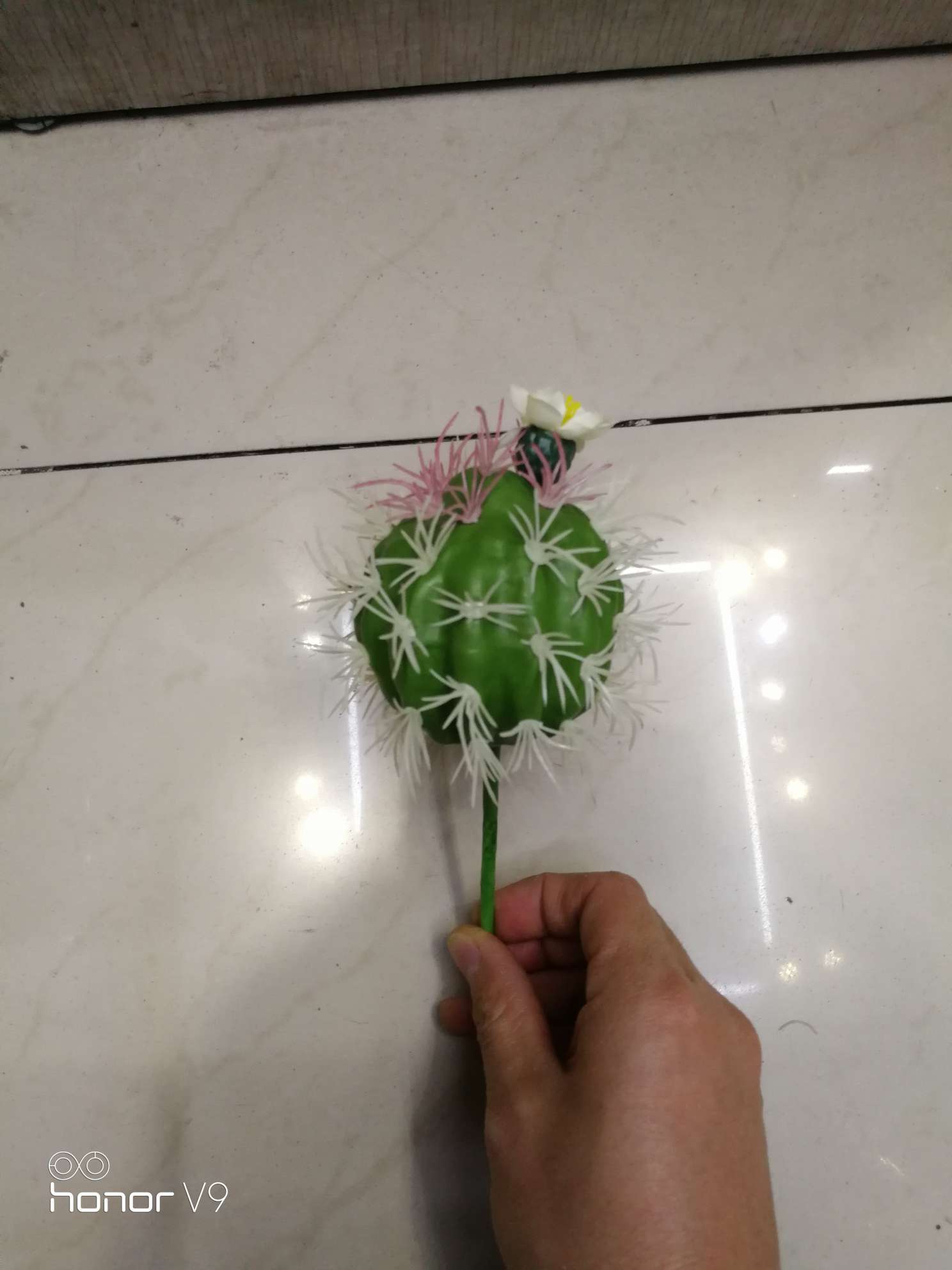 仿真仙人掌