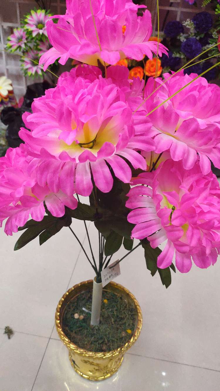 ثمانية ريكيزي details Picture