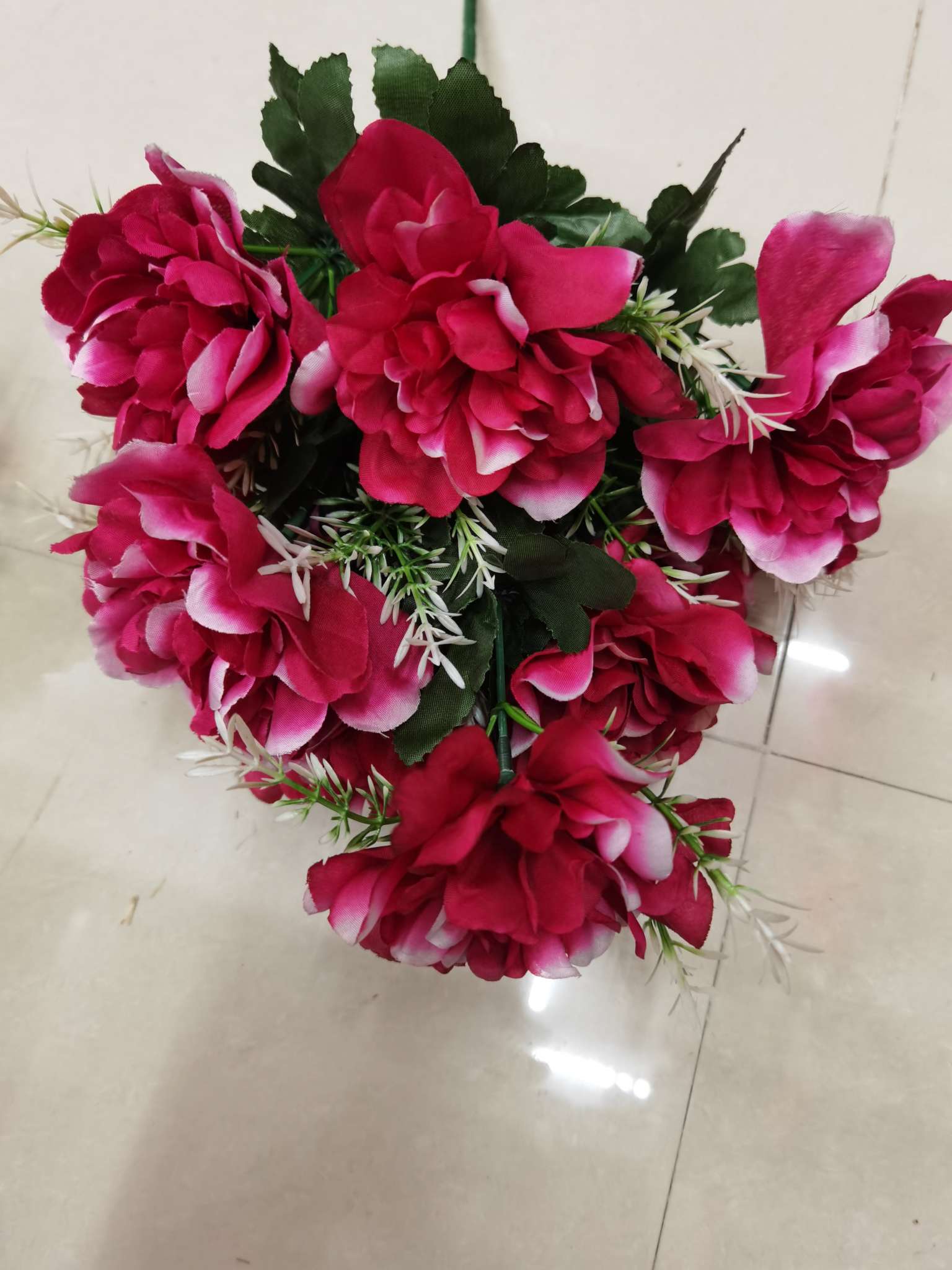 Ten dahlias Application Scenario