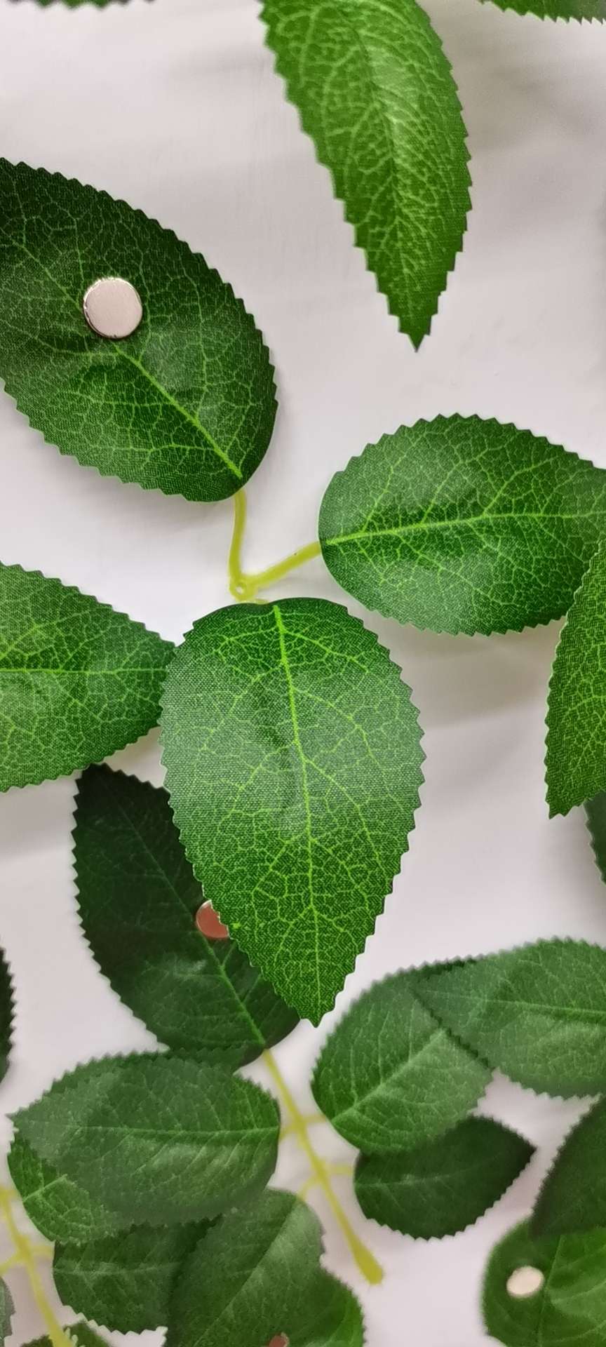 丝印三叉玫瑰叶