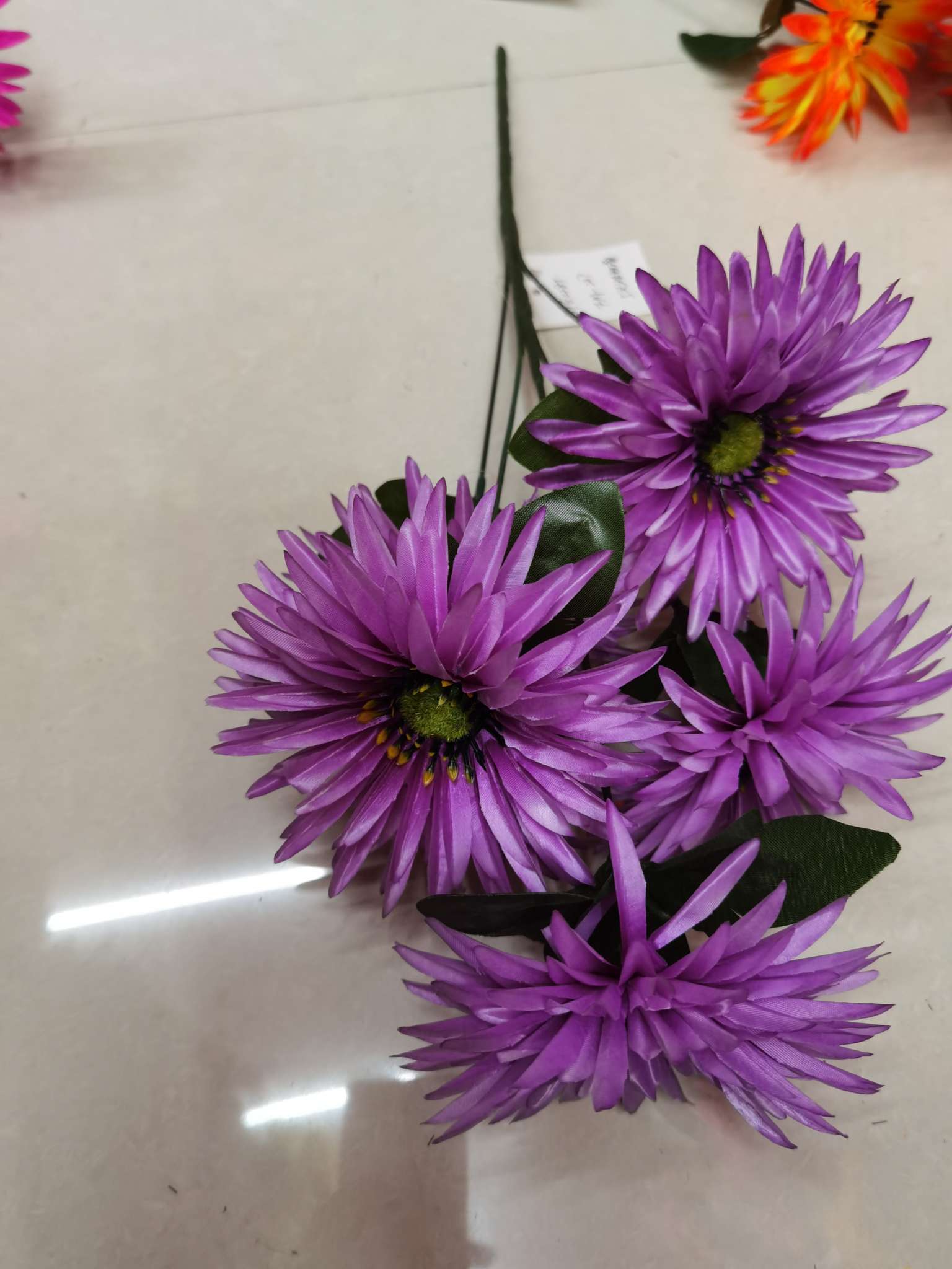Five cosmos flowers