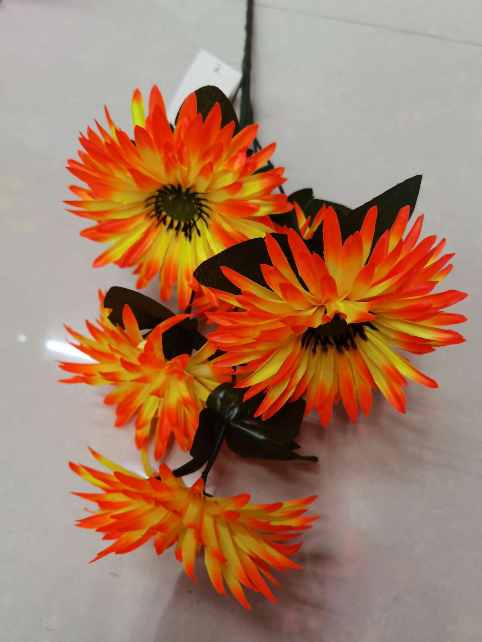 Five cosmos flowers Application Scenario