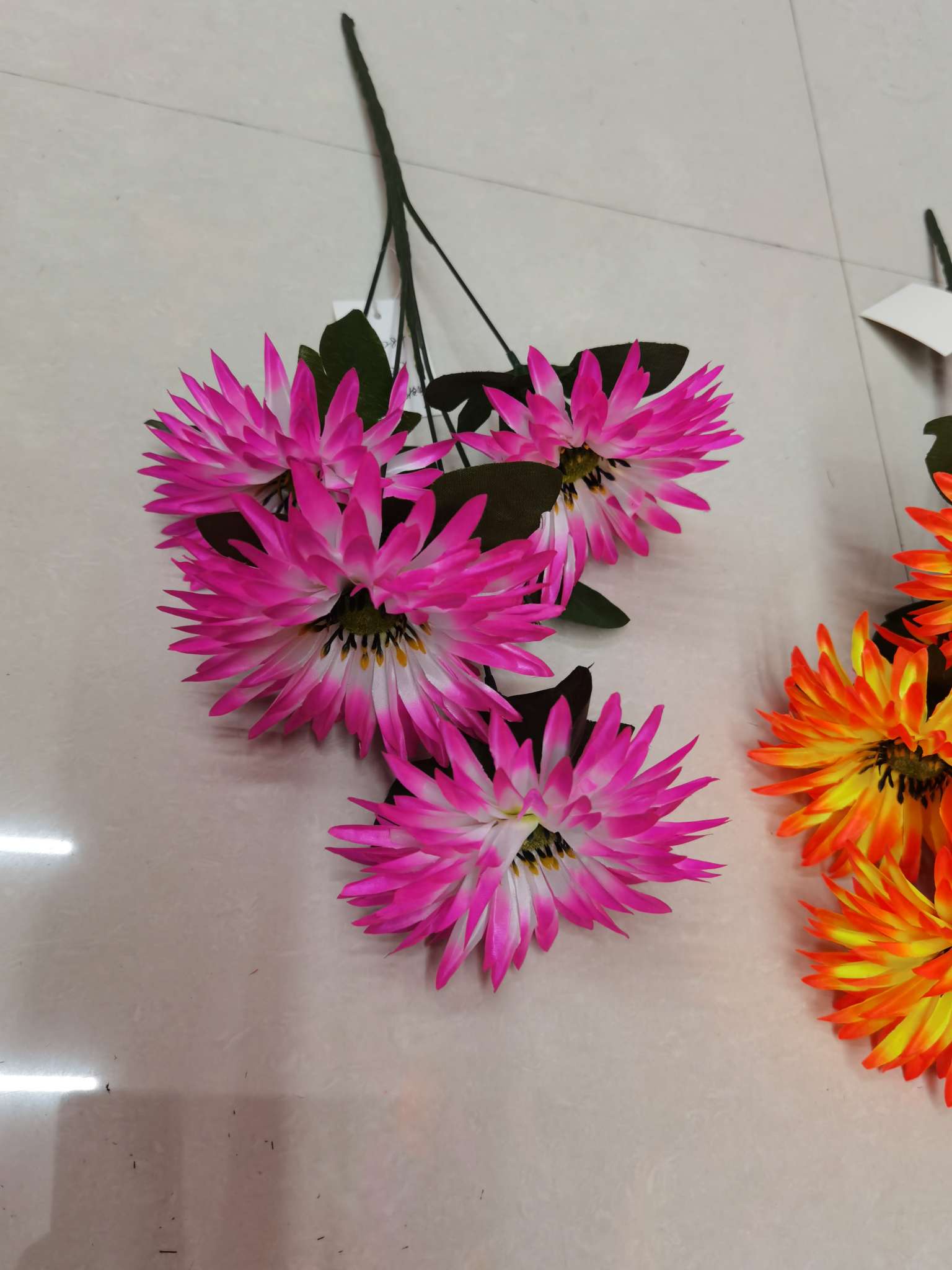 Five cosmos flowers Specification image