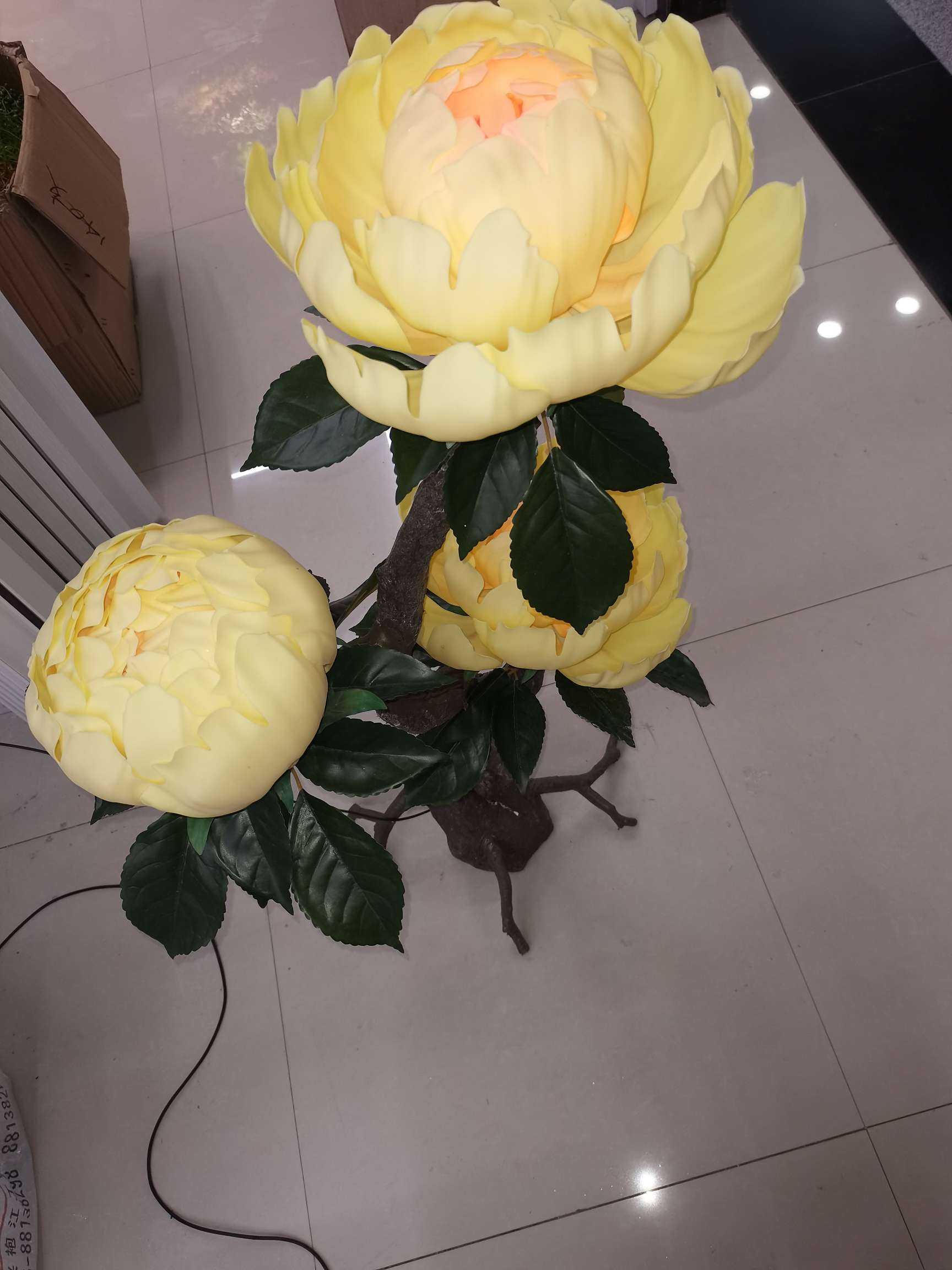 动感花详情图1