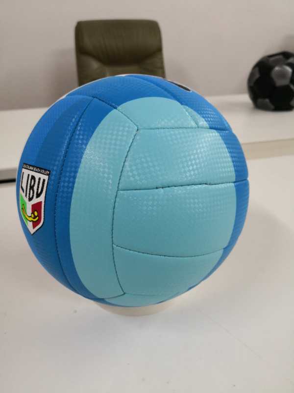 Factory Explosion No. 5 Spot Volleyball Pu Material Wear-Resistant Soft Primary And Secondary School Students Designated Ball undefined