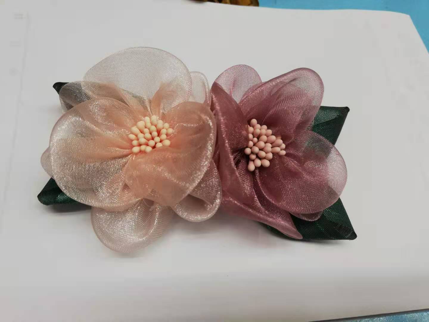 Double flower camellia ➕ leaves thumbnail