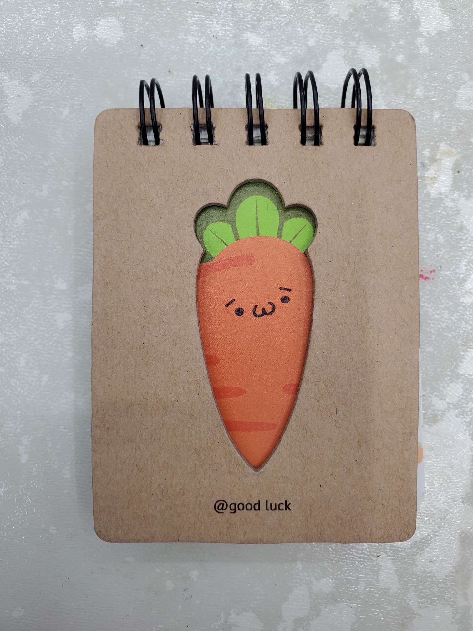 Red Moon Stationery Office Culture Paper Products, Notebooks, Notepads, coil books, Carrot coil books