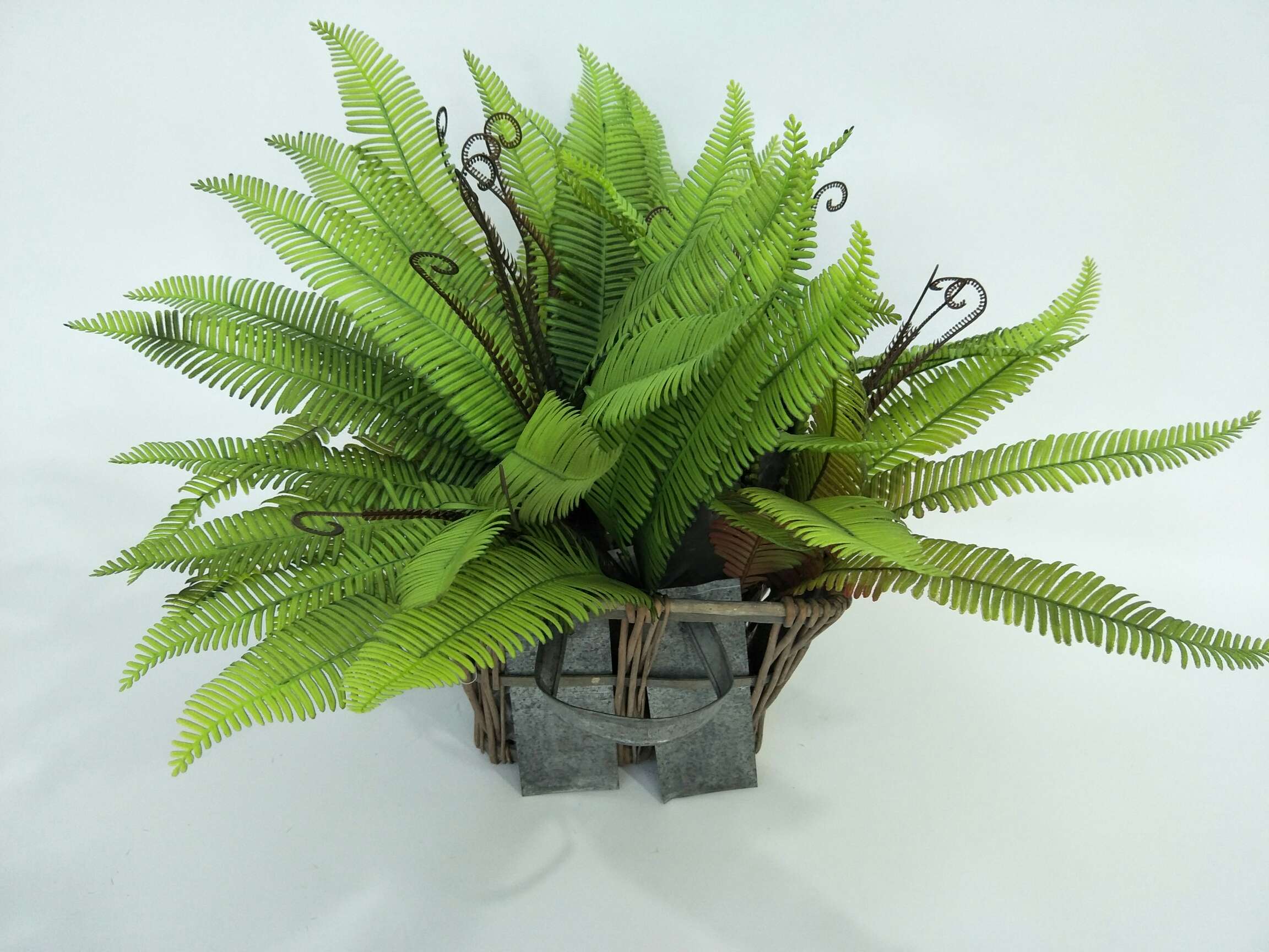 Bundle the jue leaves