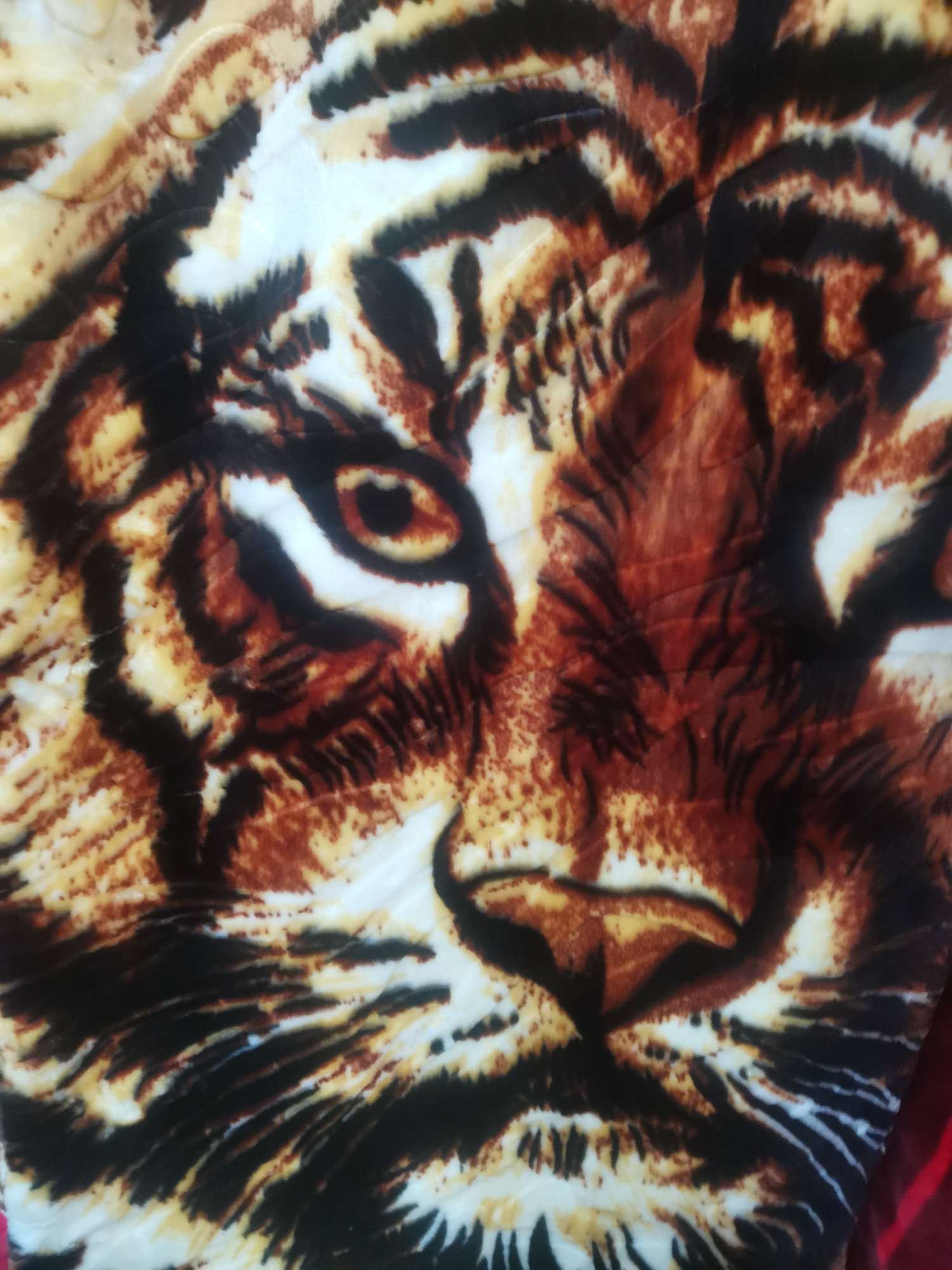 Fallai Velvet Tiger King Blanket full figure