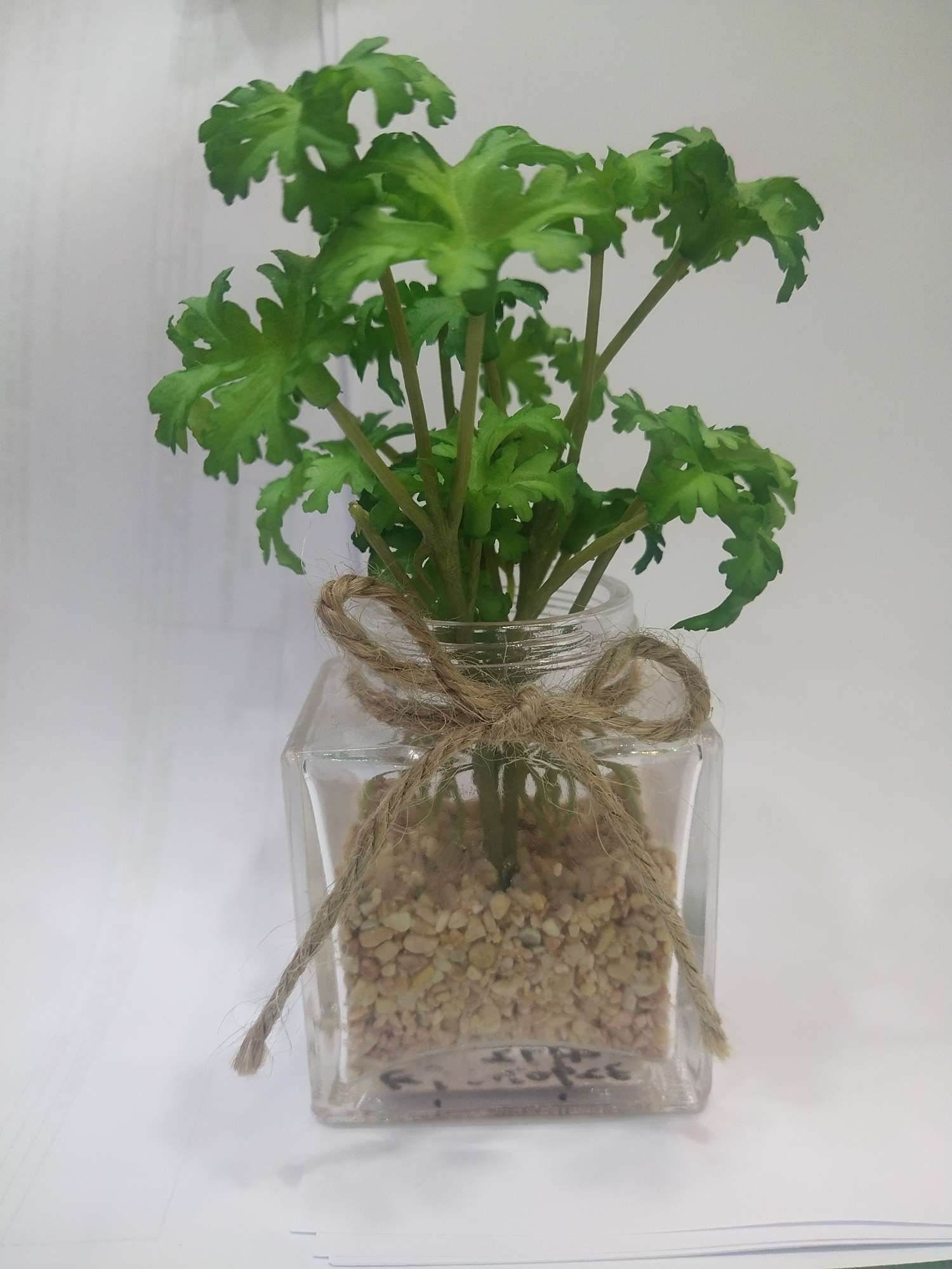 玻璃瓶仿真多肉