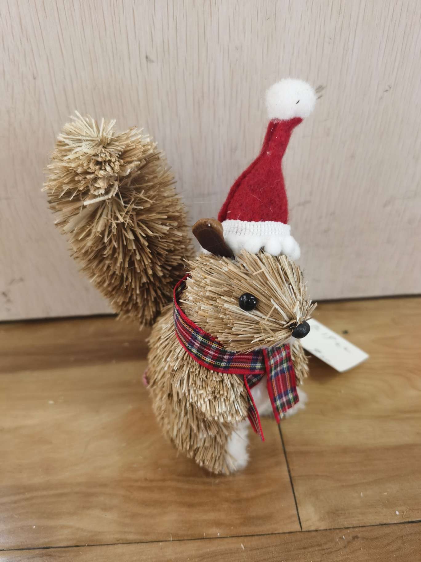 圣诞节红帽子小松鼠