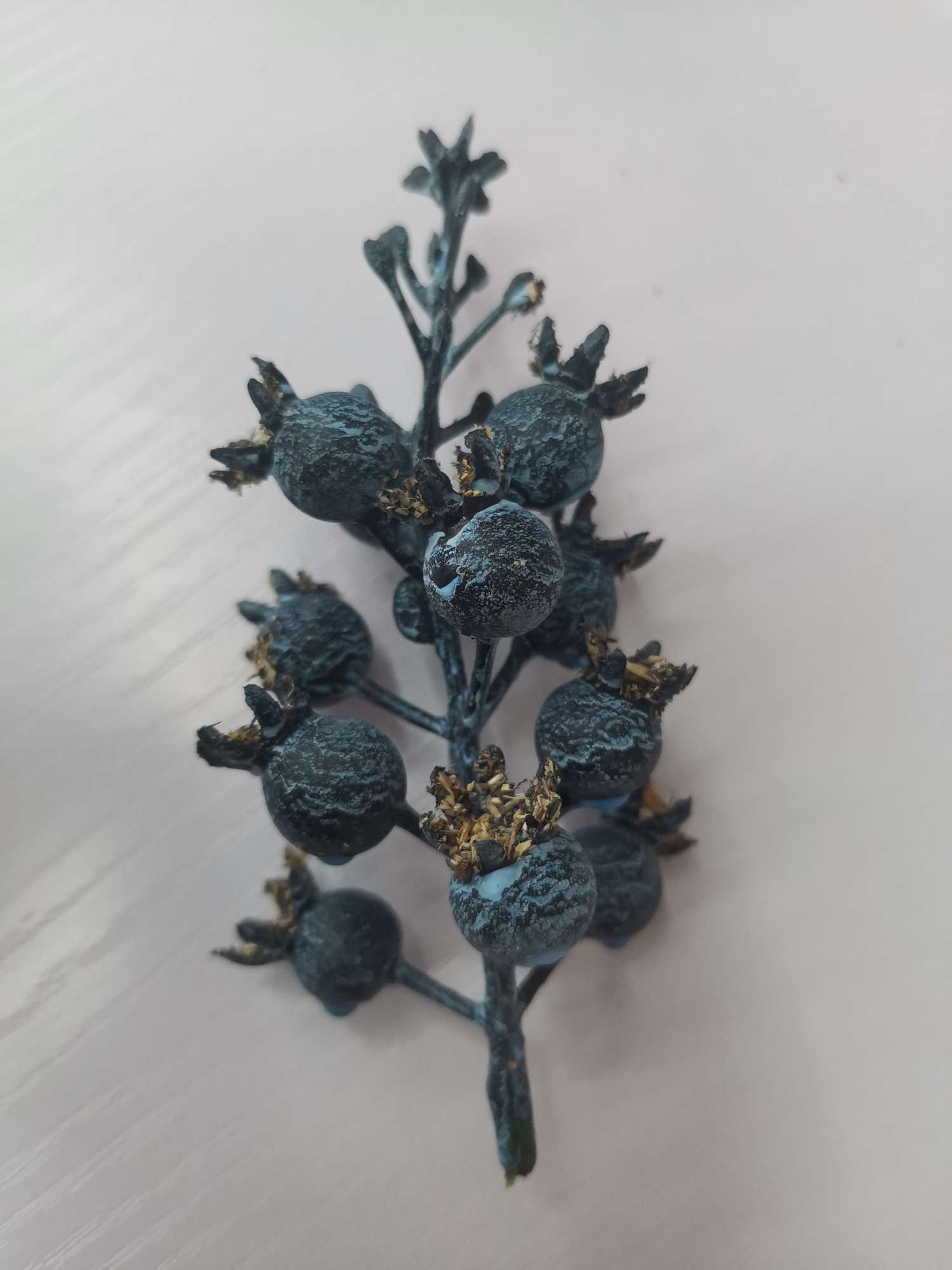12头带花带顶蓝莓产品图