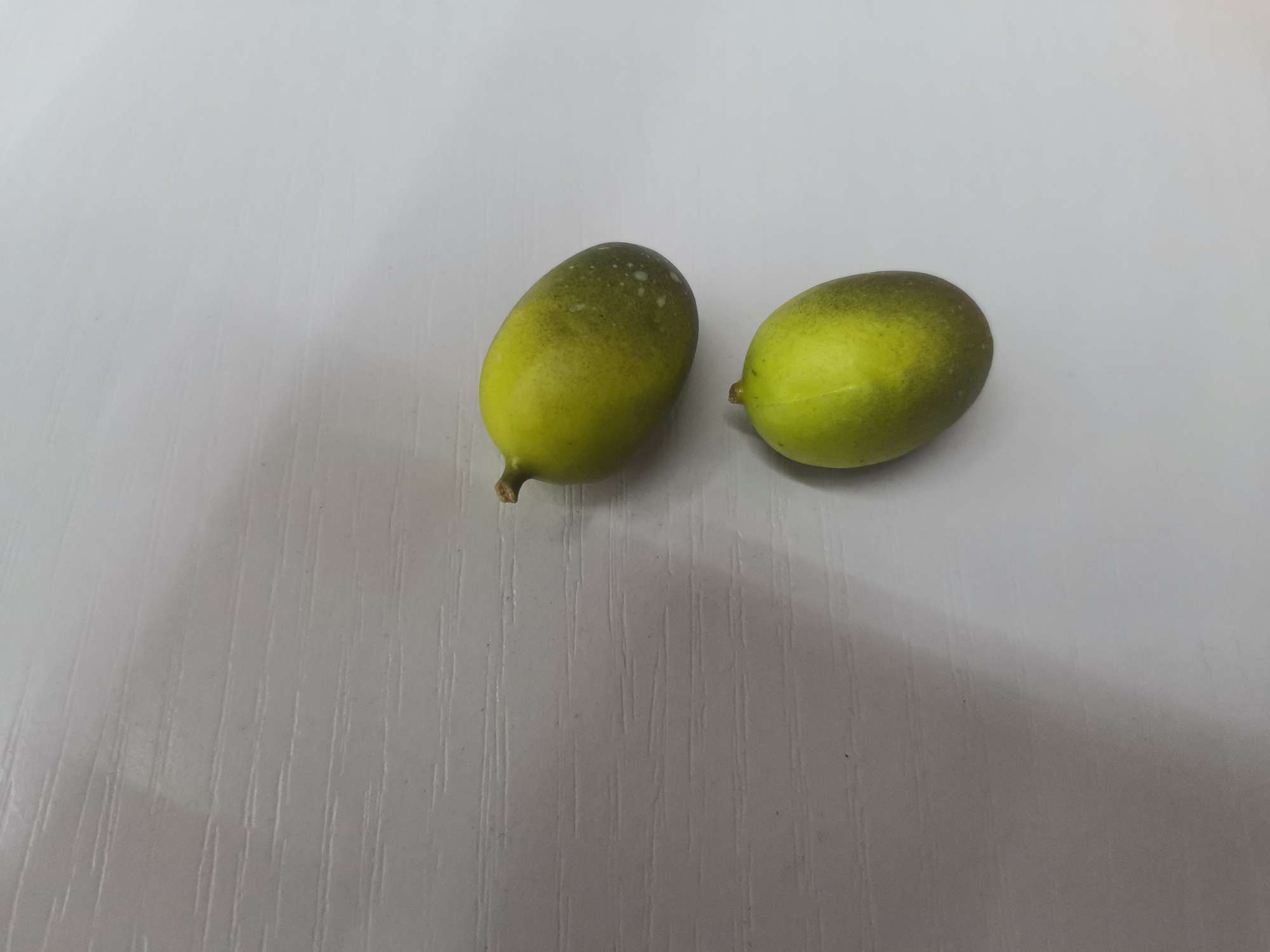 2.5cm橄榄