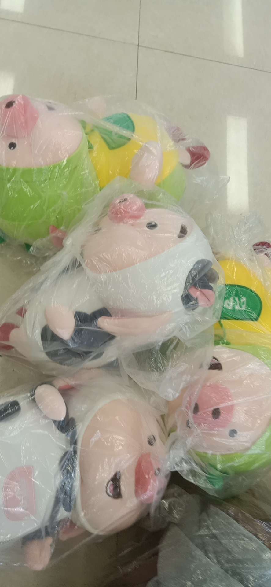 白猪