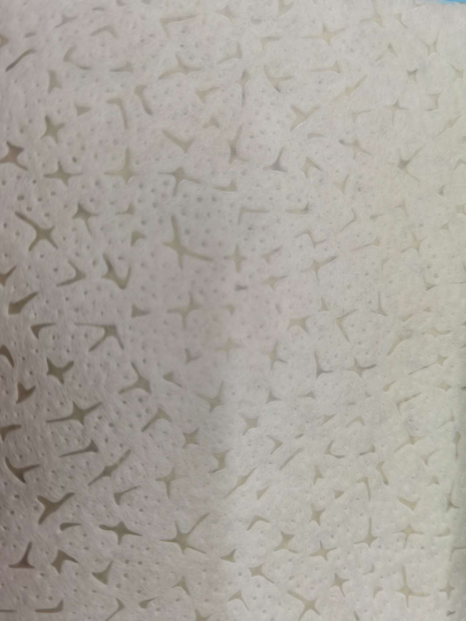 白色压花无纺布