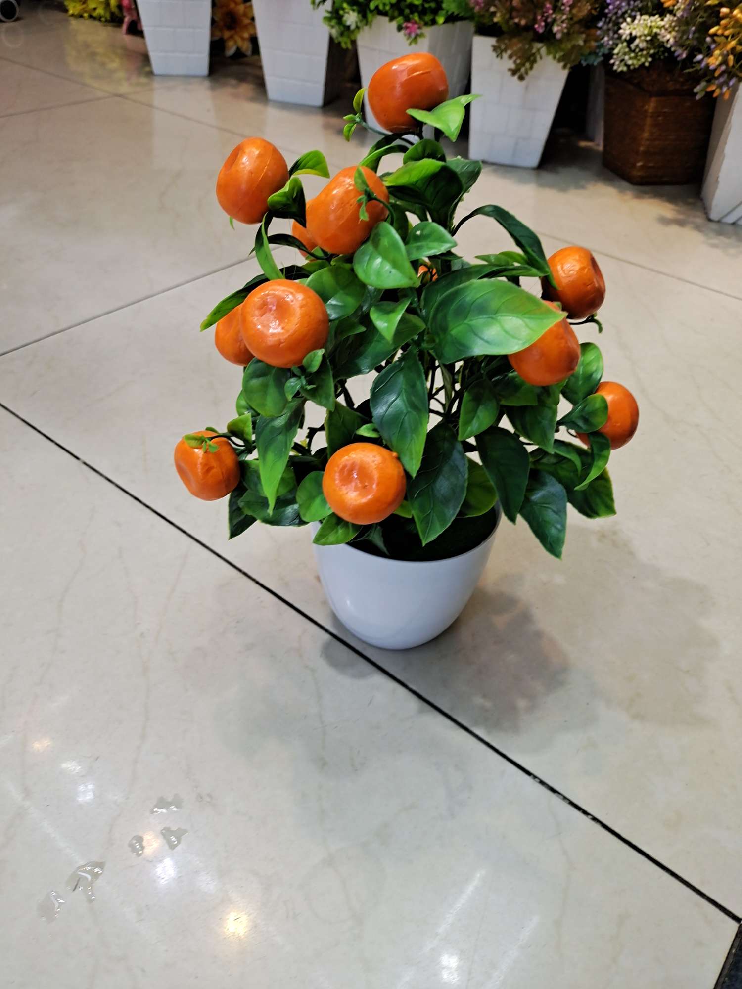 橘子盆景