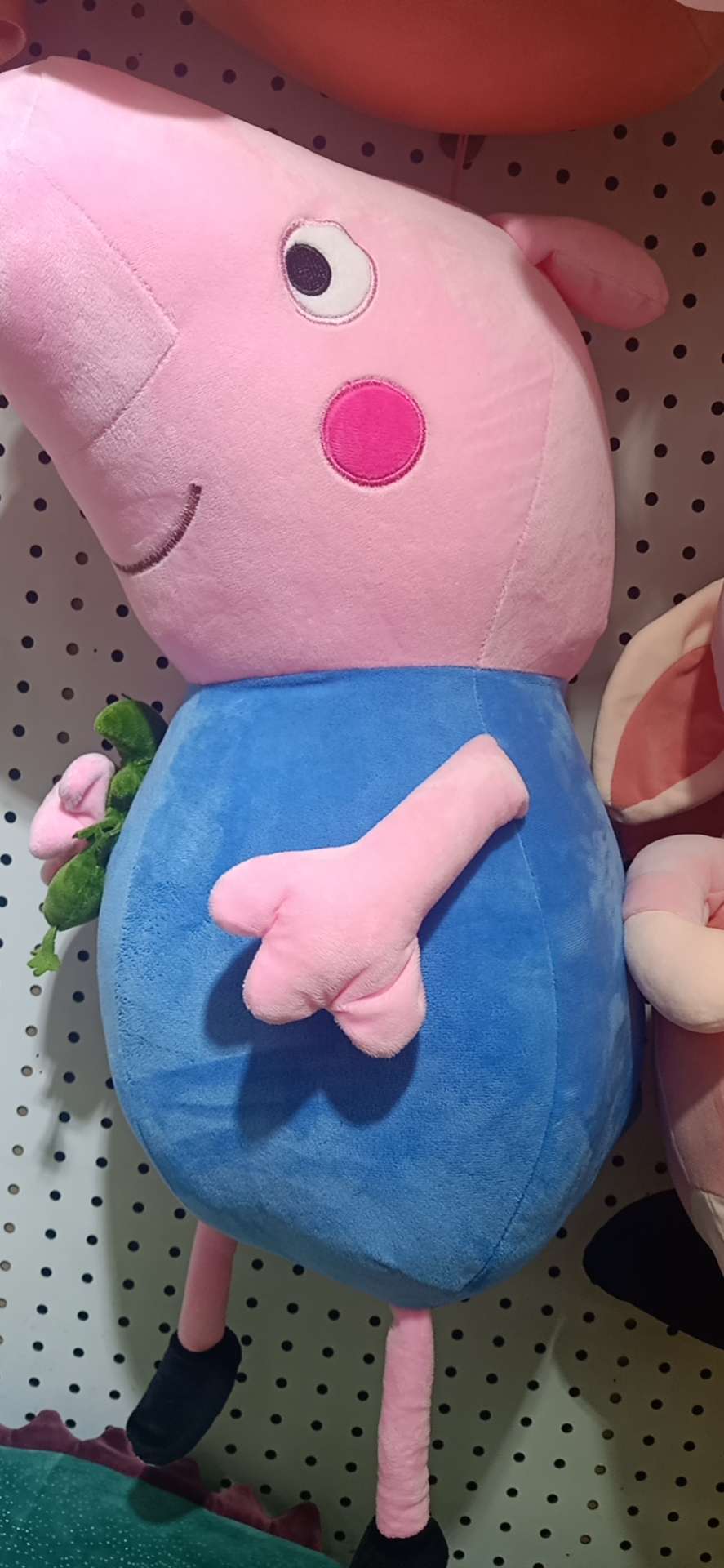 佩倛