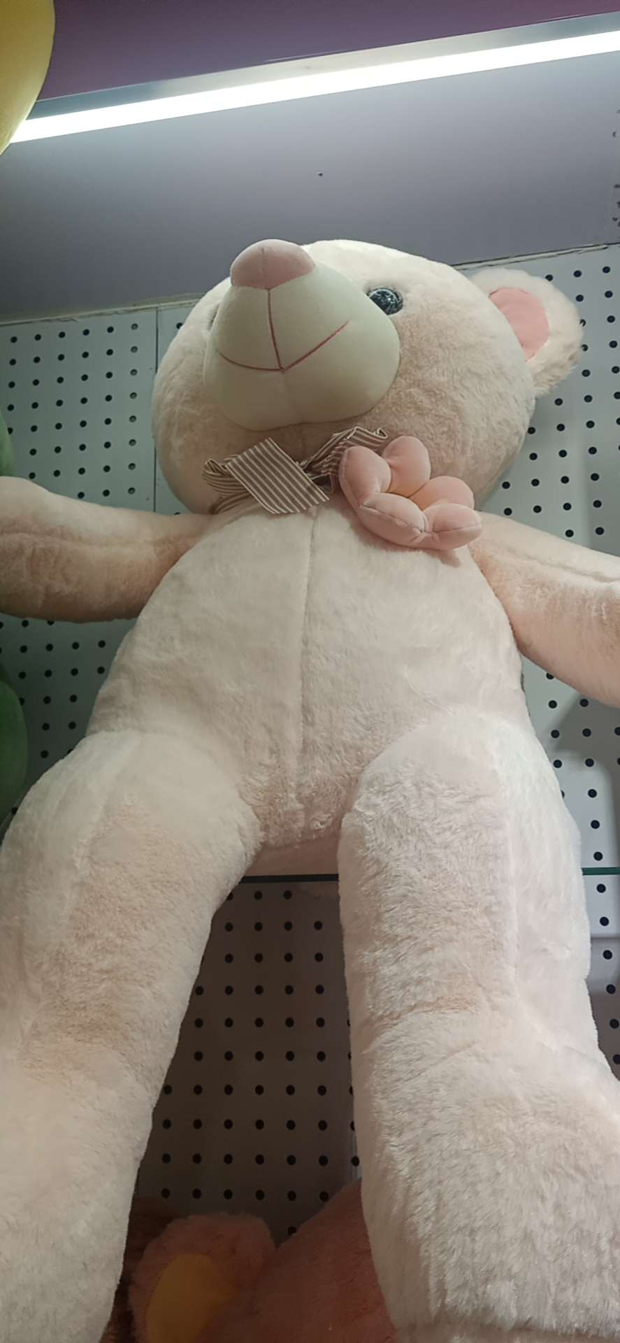 睡熊
