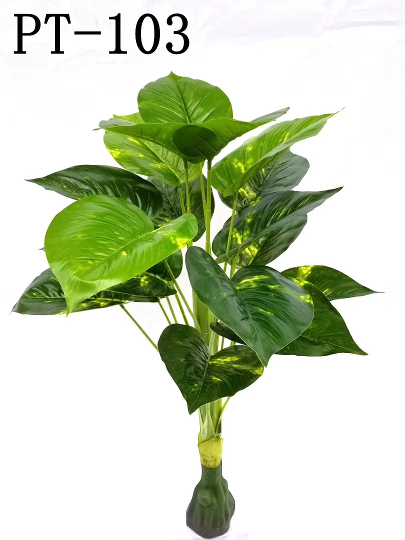 1米小树头花点绿萝 18叶