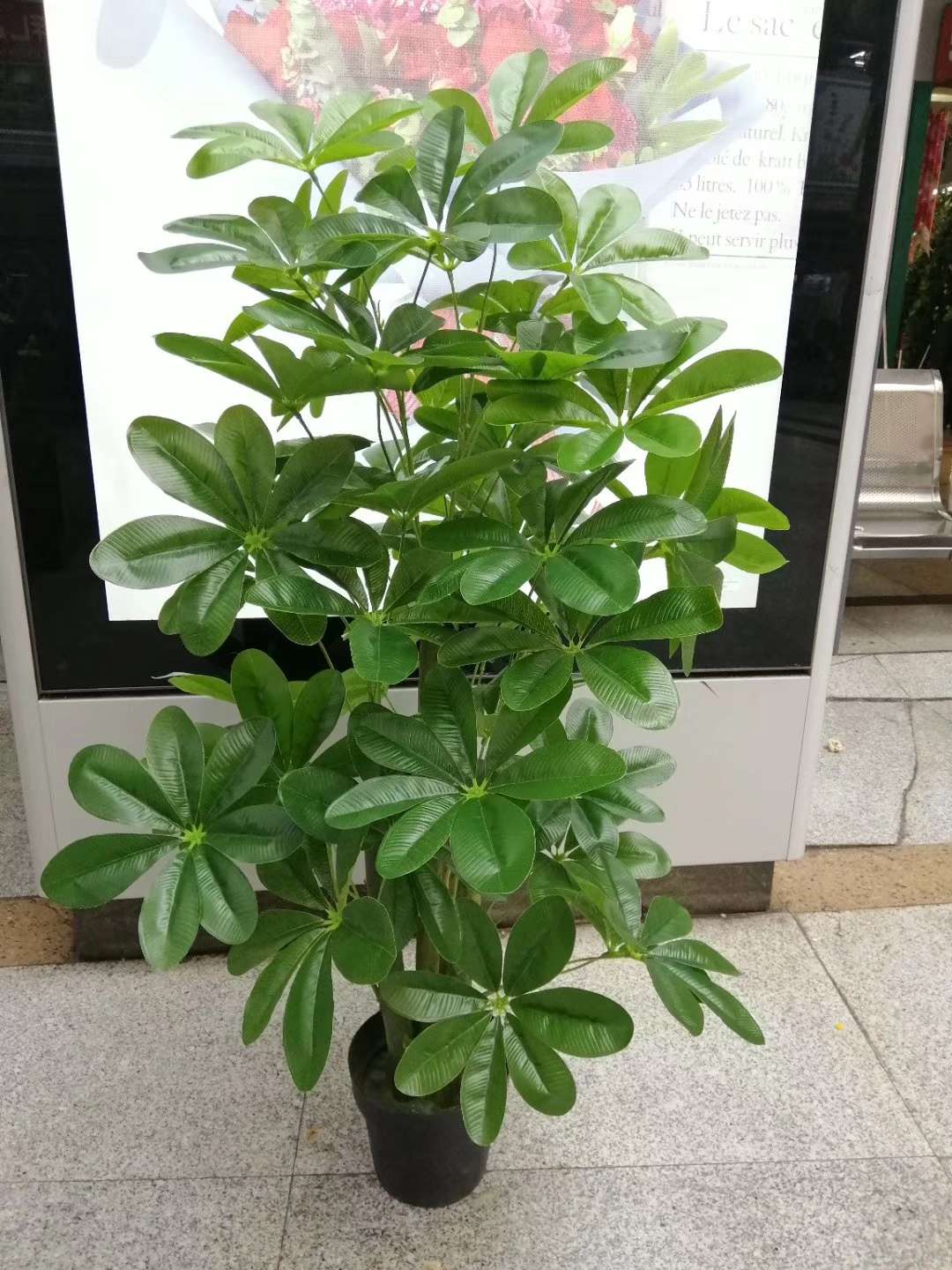 1.4米假富贵树仿真植物盆栽滴水观音盆景大型客厅落地绿植树装饰塑料花
带盆