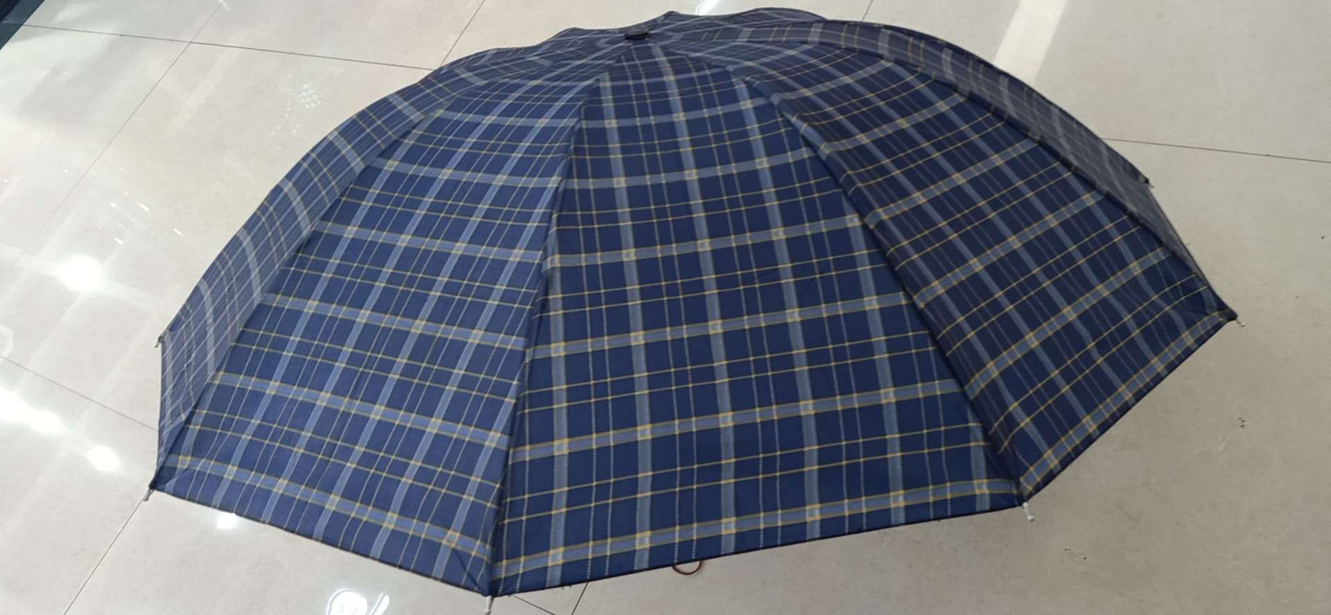 粗干伞