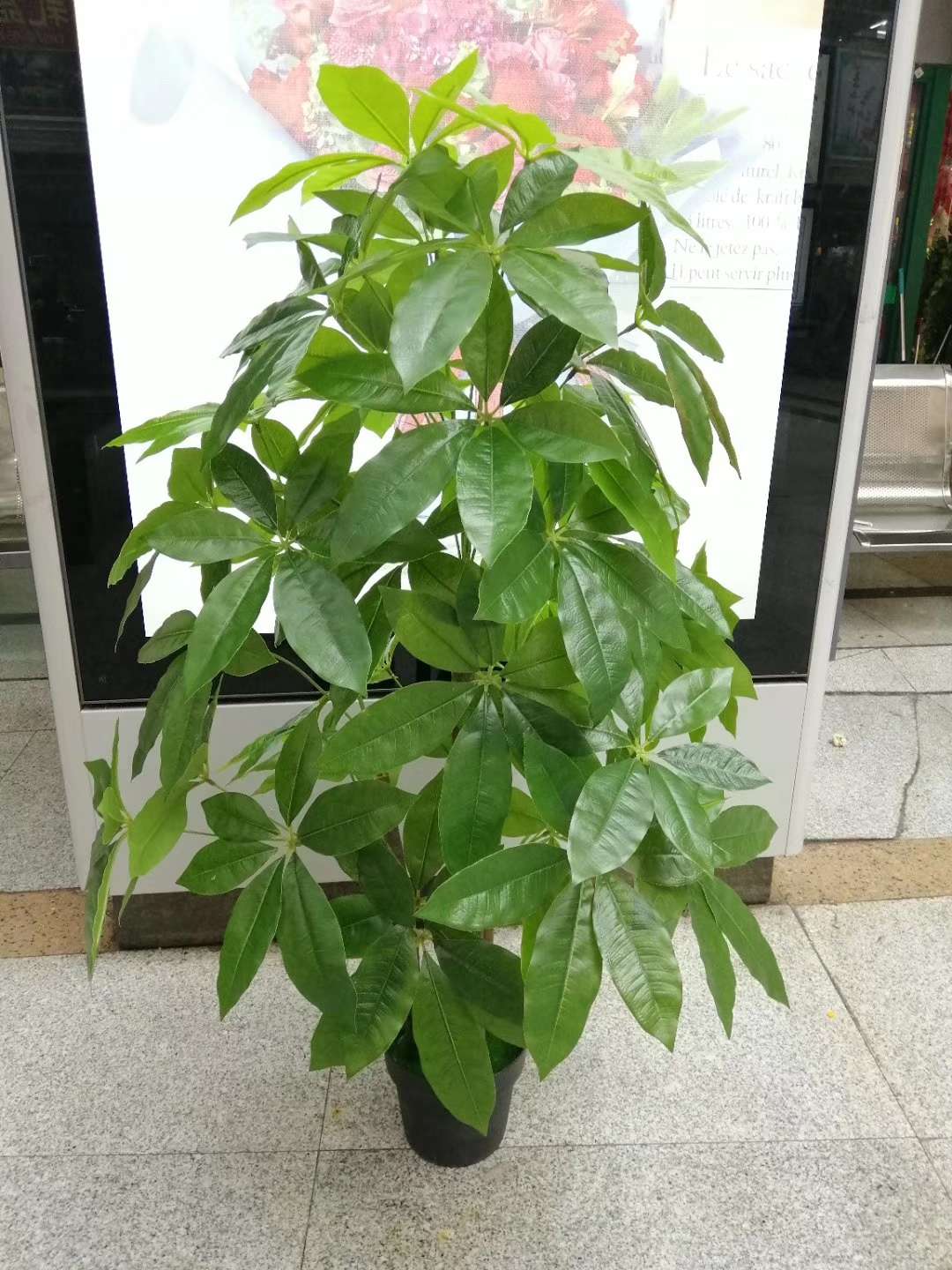 假发财树仿真植物盆栽滴水观音盆景大型客厅落地绿植树装饰塑料花