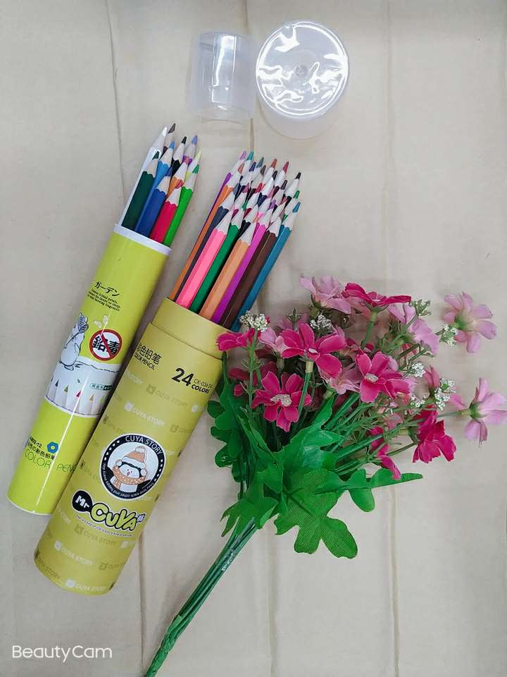 儿童幼儿园学生绘画彩色铅笔办公绘图记号铅笔12色，24色桶装彩色铅笔白底实物图