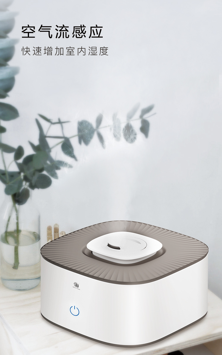 Ultrasonic Humidifier Item Picture