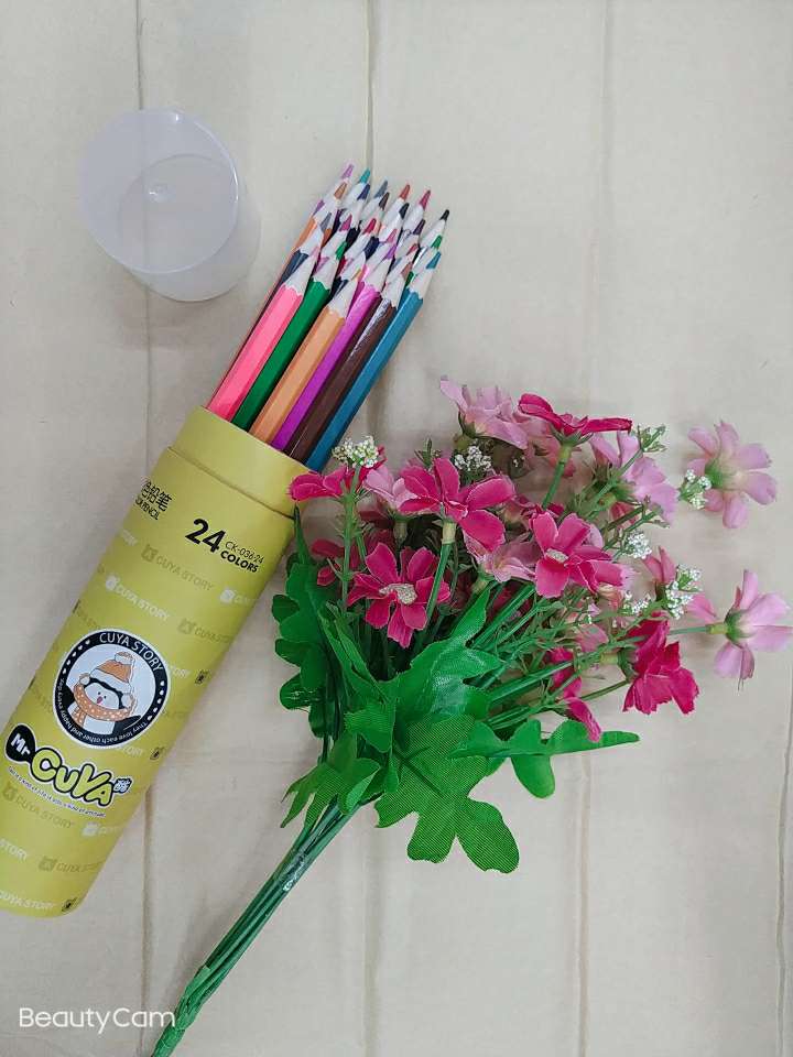 儿童幼儿园学生绘画彩色铅笔办公绘图记号铅笔12色，24色桶装彩色铅笔详情图3