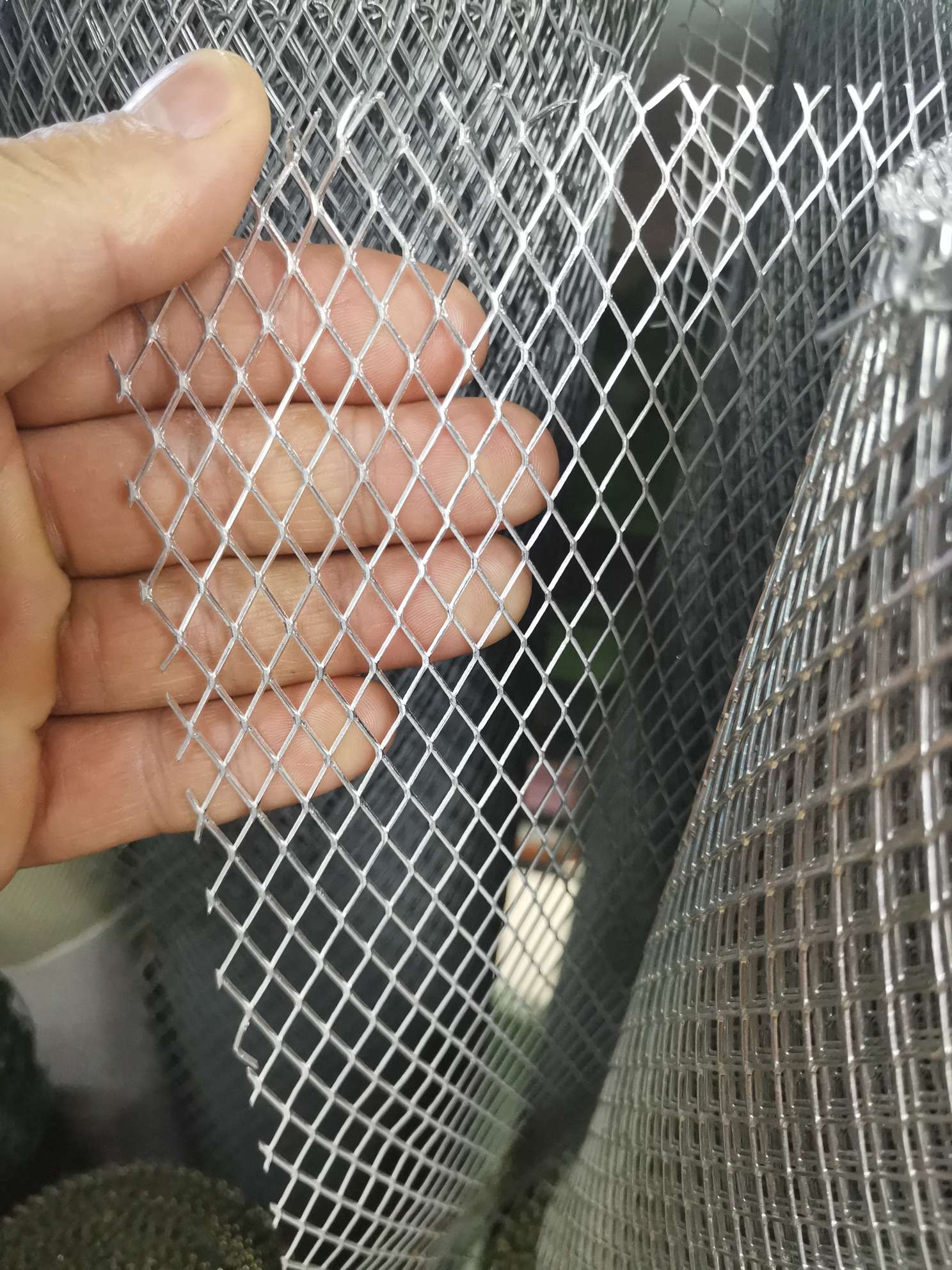 钢板网