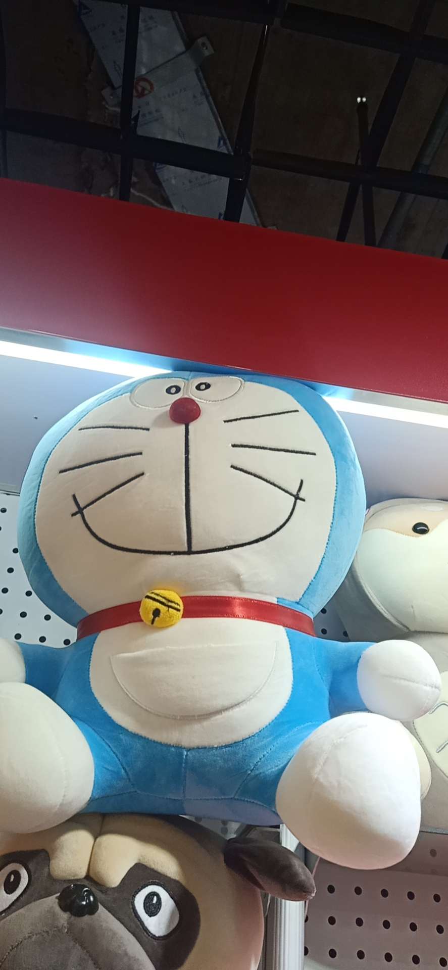 玲肖猫