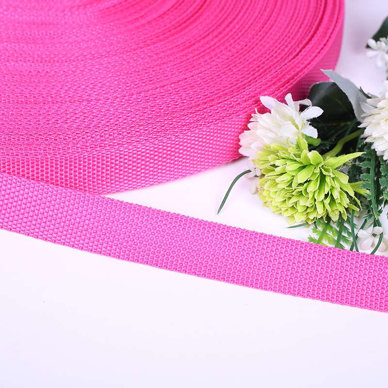 2.5cm polypropylene plain weave 900D new European standard webbing in stock, environmentally friendly webbing for school bags, luggage straps and accessories supply Application Scenario