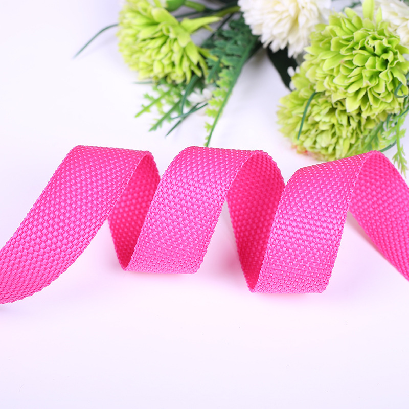 2.5cm polypropylene plain weave 900D new European standard webbing in stock, environmentally friendly webbing for school bags, luggage straps and accessories supply details Picture