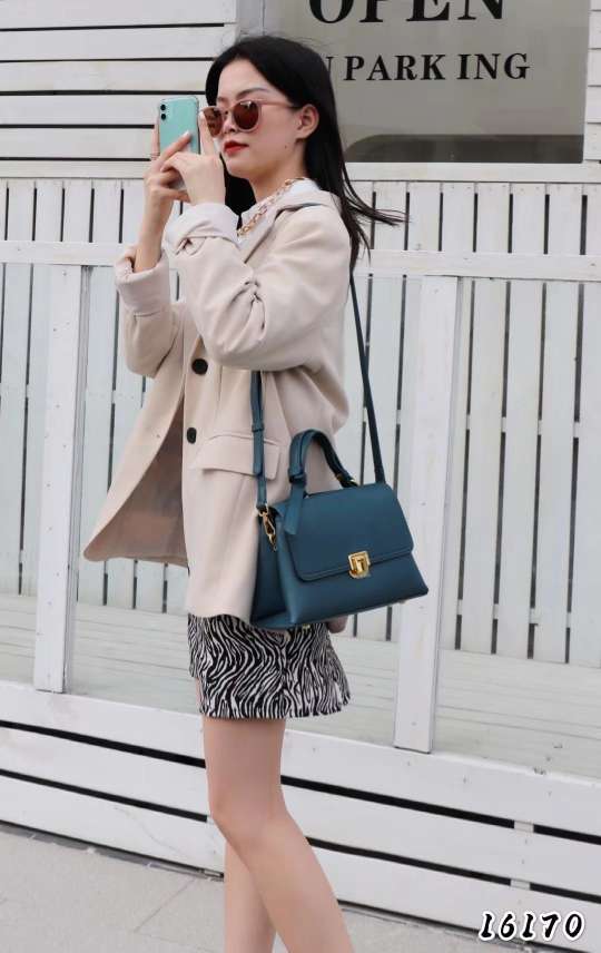 2020新款女包 手提单肩斜挎小包 牛皮纹细节图