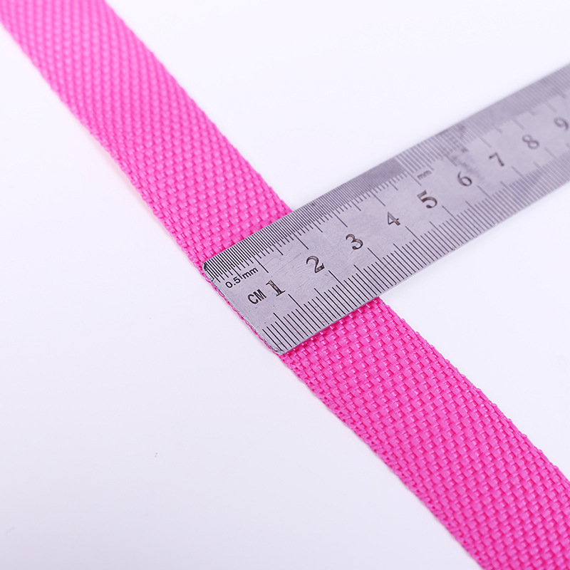 2.5cm polypropylene plain weave 900D new European standard webbing in stock, environmentally friendly webbing for school bags, luggage straps and accessories supply Item Picture