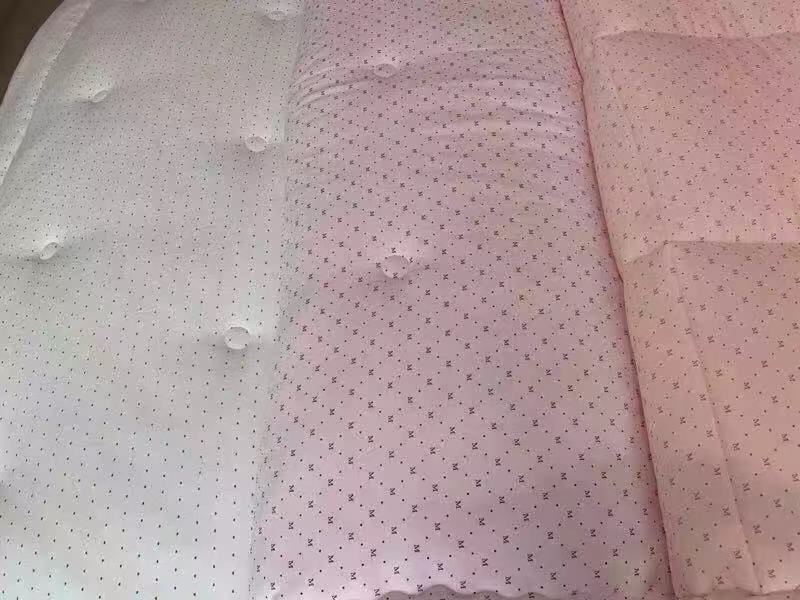 Household quilt core 2