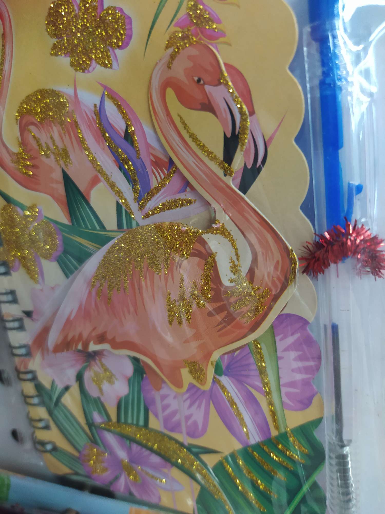 特色独角鸟🐦