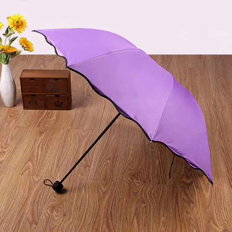 开花伞雨伞白底实物图