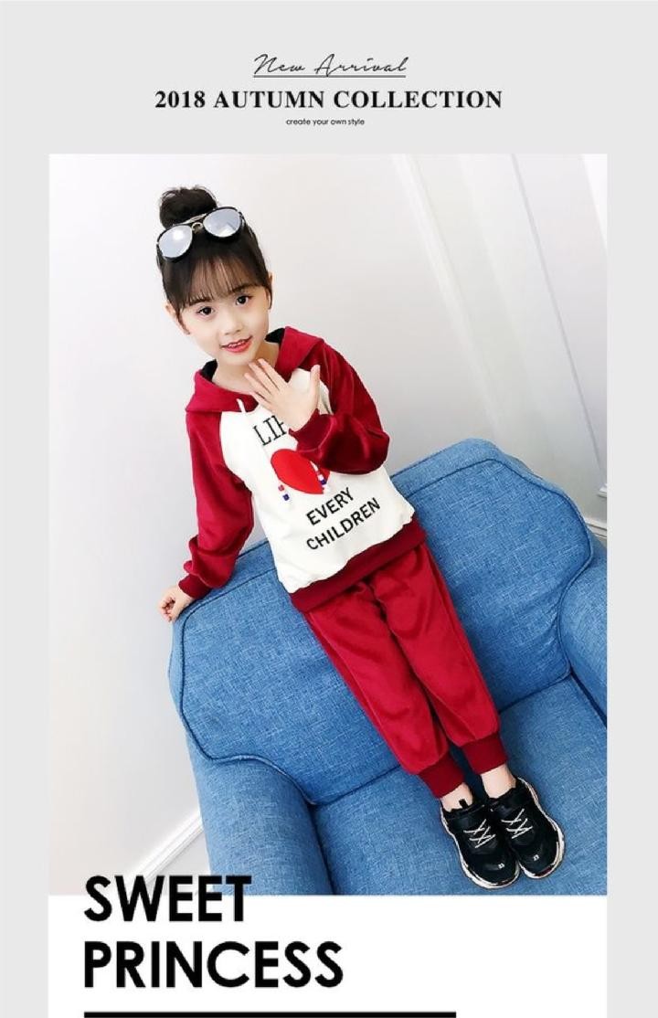 A new spring and autumn collection of plush and thickened casual sweatshirts for girls, a two-piece set of children's clothing detail image 2