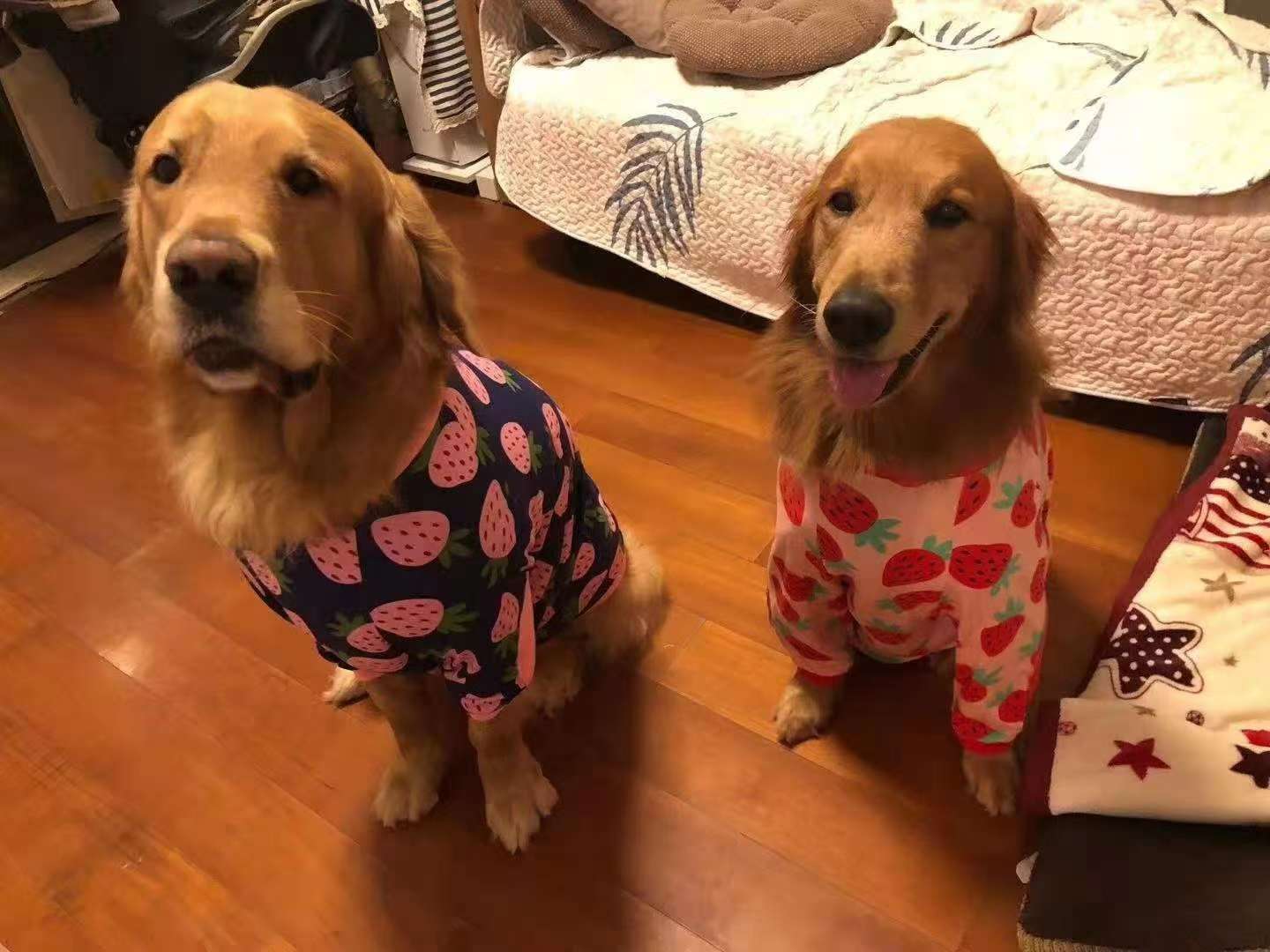 我们是草莓🍓 大宝宝
新款关节服
微醺草莓🍓 芝芝草莓🍓 软糖草莓…
好多好多草莓等你来摘！