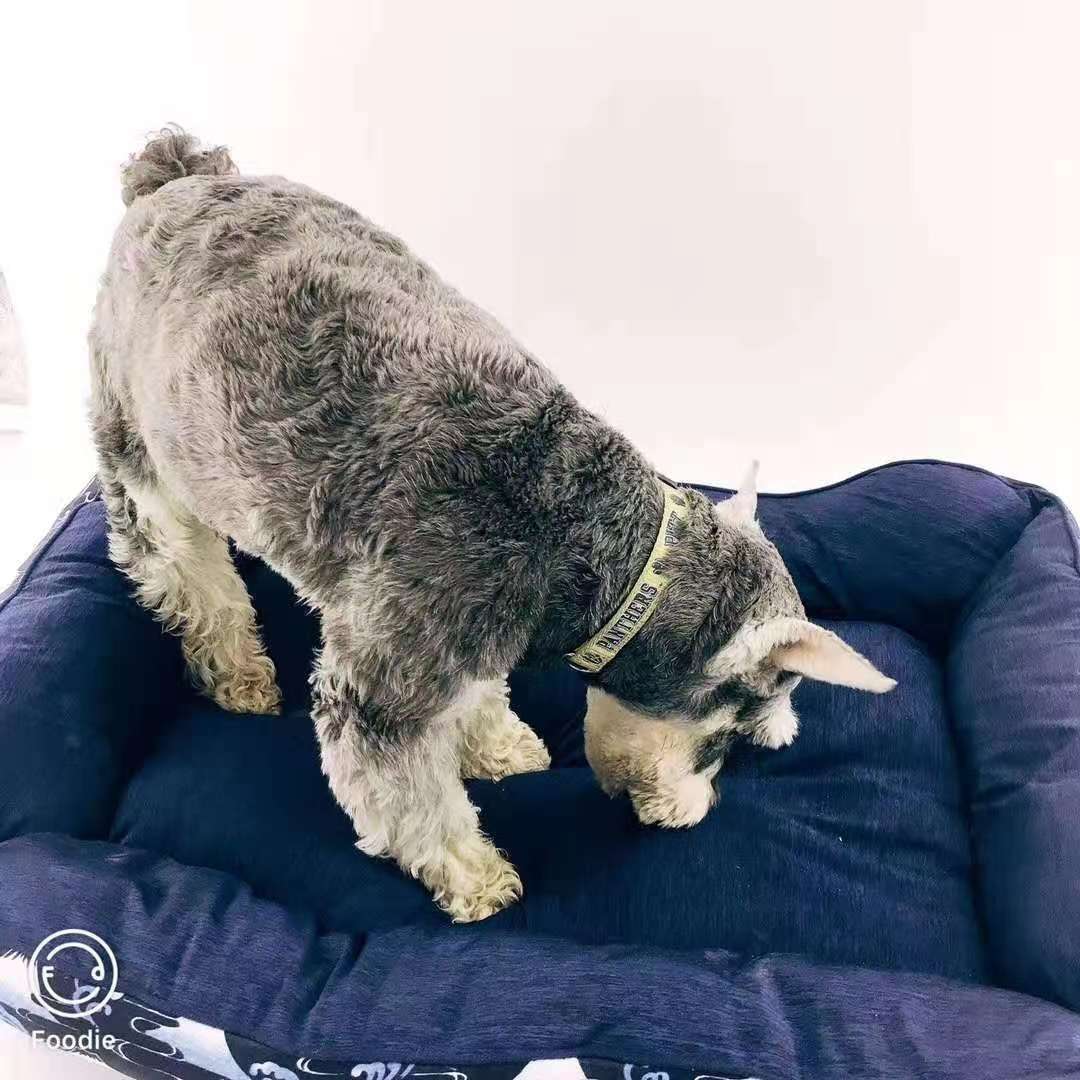 这款面料赞到爆的日式四季两面窝垫详情图9