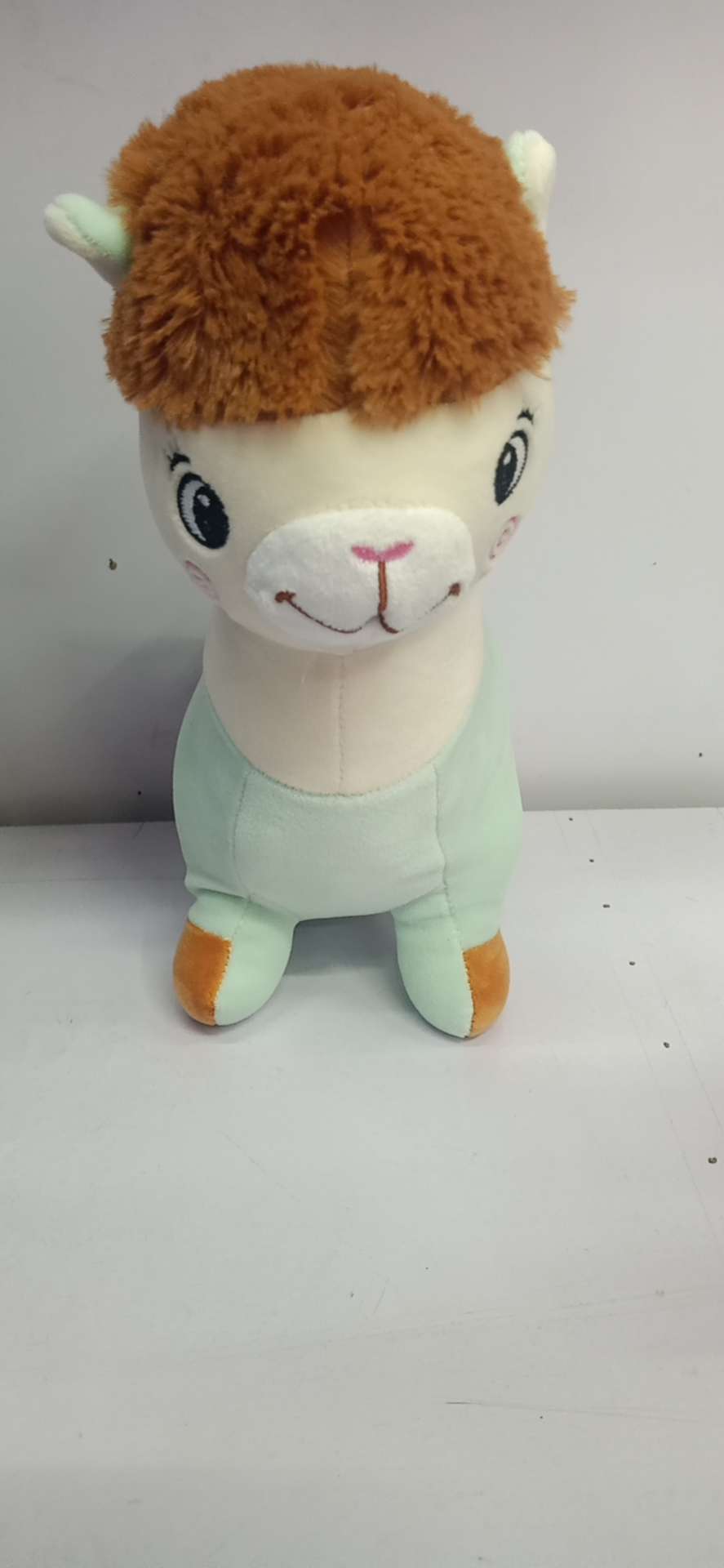 小绵羊