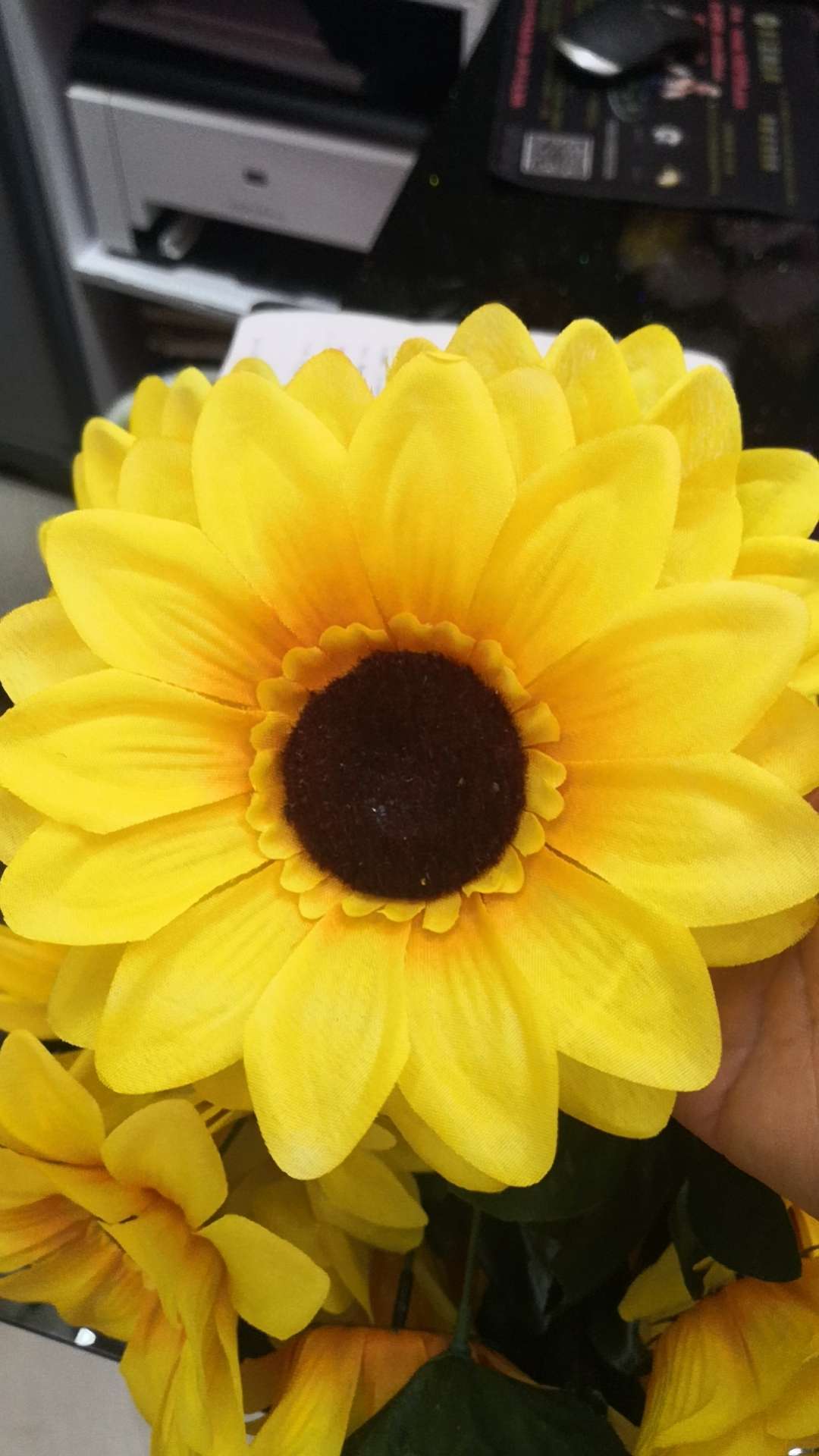 Yiwu minglu floración describe pic - 4