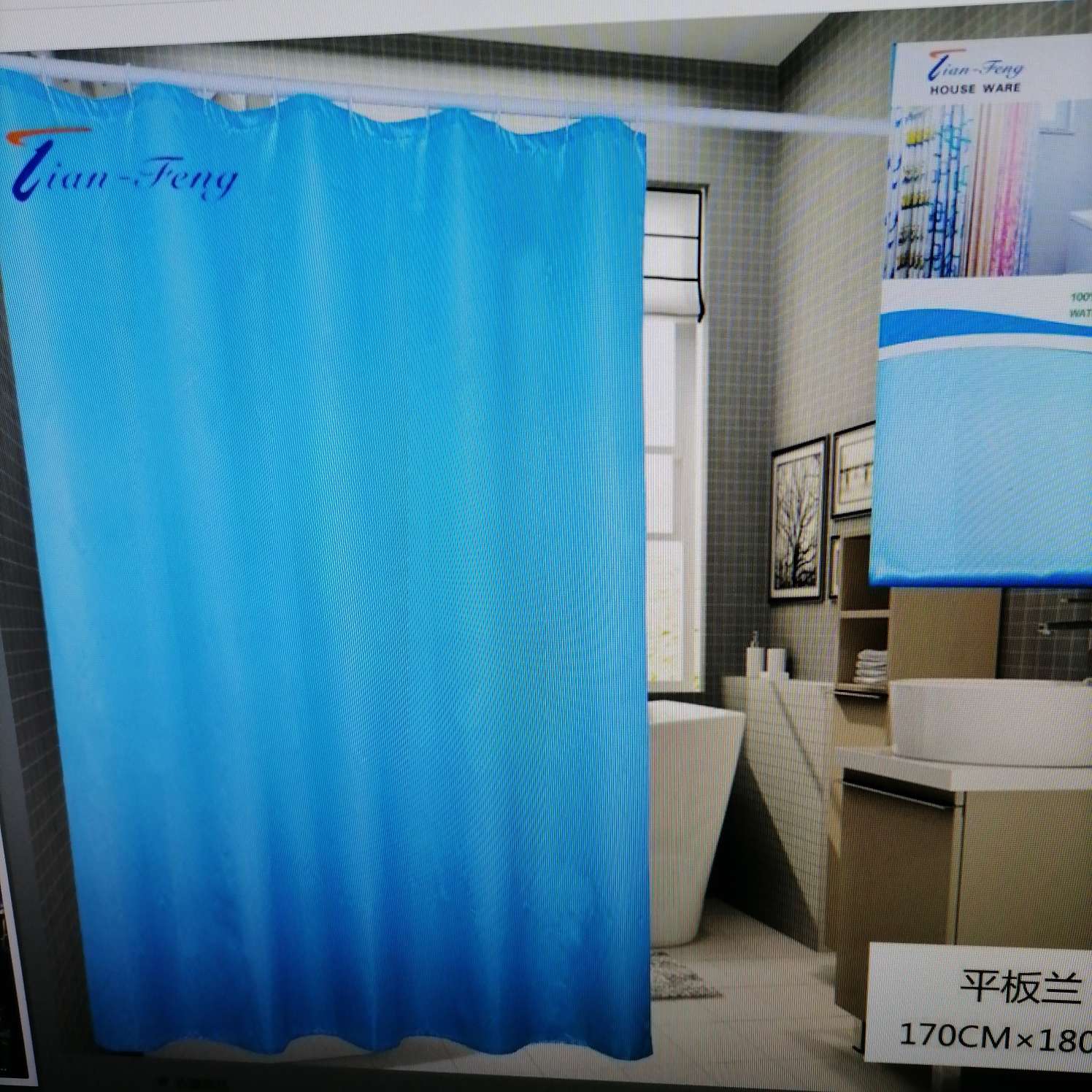 Curtain Shower Curtain