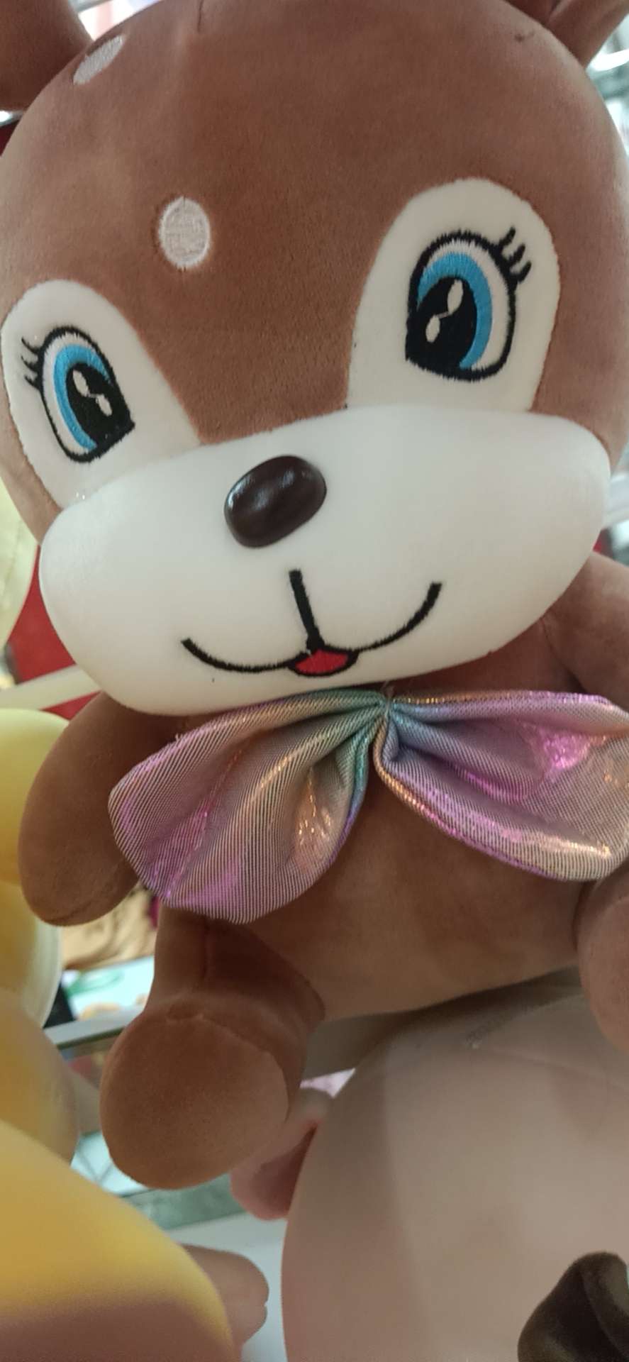 糊碟猫